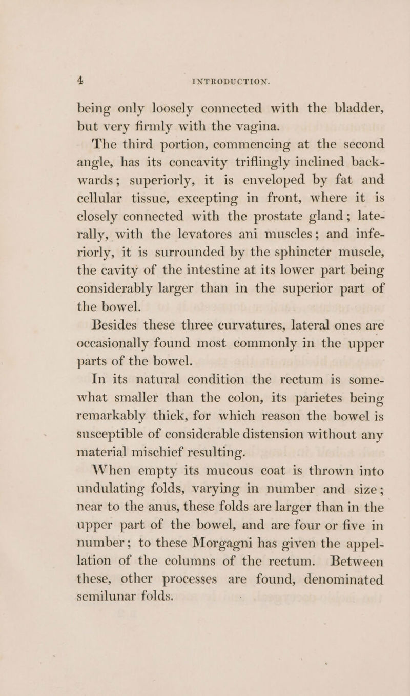 being only loosely connected with the bladder, but very firmly with the vagina. The third portion, commencing at the second angle, has its concavity triflingly inclined back- wards; superiorly, it is enveloped by fat and cellular tissue, excepting in front, where it is closely connected with the prostate gland; late- rally, with the levatores ani muscles; and infe- riorly, it is surrounded by the sphincter muscle, the cavity of the intestine at its lower part being considerably larger than in the superior part of the bowel. Besides these three curvatures, lateral ones are occasionally found most commonly in the upper parts of the bowel. In its natural condition the rectum is some- what smaller than the colon, its parietes being remarkably thick, for which reason the bowel is susceptible of considerable distension without any material mischief resulting. When empty its mucous coat is thrown into undulating folds, varying in number and size; near to the anus, these folds are larger than in the upper part of the bowel, and are four or five in number; to these Morgagni has given the appel- lation of the columns of the rectum. Between these, other processes are found, denominated semilunar folds.