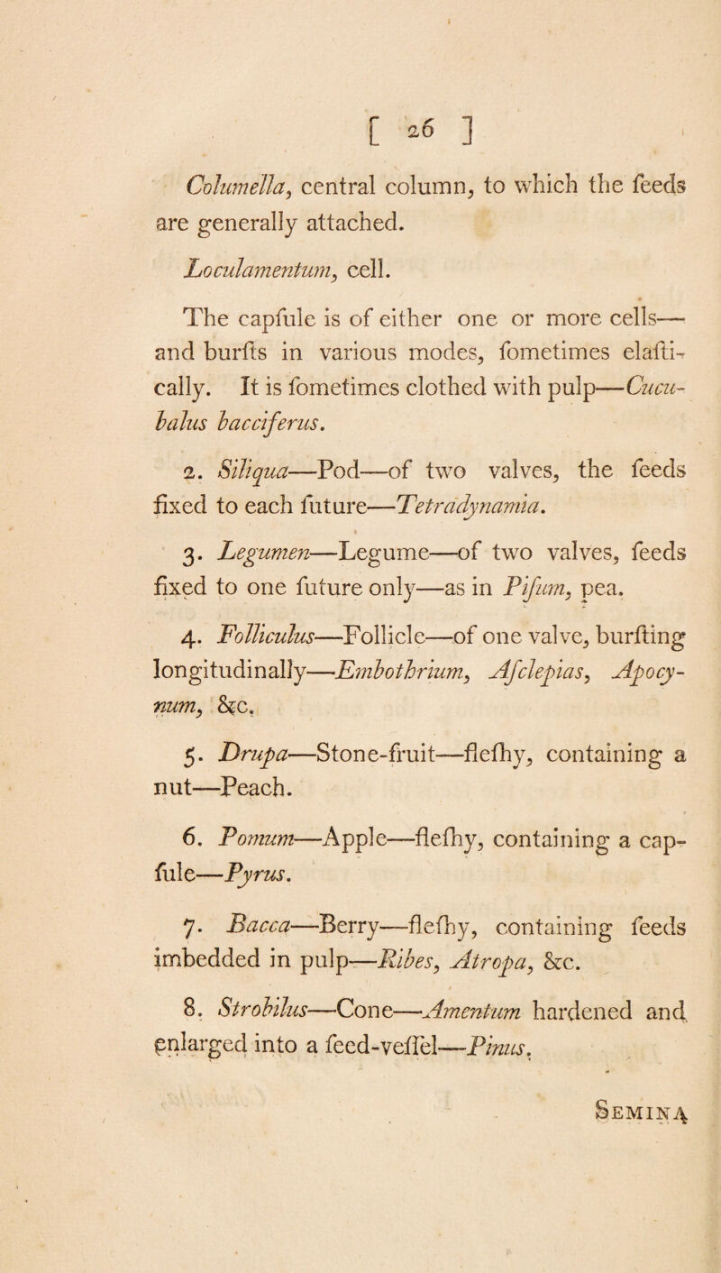 [ *6 ] Columella, central column, to which the feeds are generally attached. Loculamentum, cel 1. The capfule is of either one or more cells— and burfts in various modes., fometimes elafti- cally. It is fometimes clothed with pulp—Cucu- bolus bacciferus. 2. Sill qua—Pod—of two valves, the feeds fixed to each future—Tetradynamia, 3. Legumen—Legume—of two valves, feeds fixed to one future only—as in Pifum, pea. 4. Folliculus■—Follicle—of one valve, burfting longitudinally—Embothrium, Afclepias, Apocy- num, 5. Drupa—Stone-fruit—fiefhy, containing a nut—Peach. 6. Pomum—Apple—fiefhy, containing a cap¬ fule—Pyrus. 7. Bacea—Berry—fiefhy, containing feeds imbedded in pulp—Kibes, Atropa, &c. 8. Strobilus—Cone—Amentum hardened and enlarged into a fecd-vefiel-—Finns, Semin4
