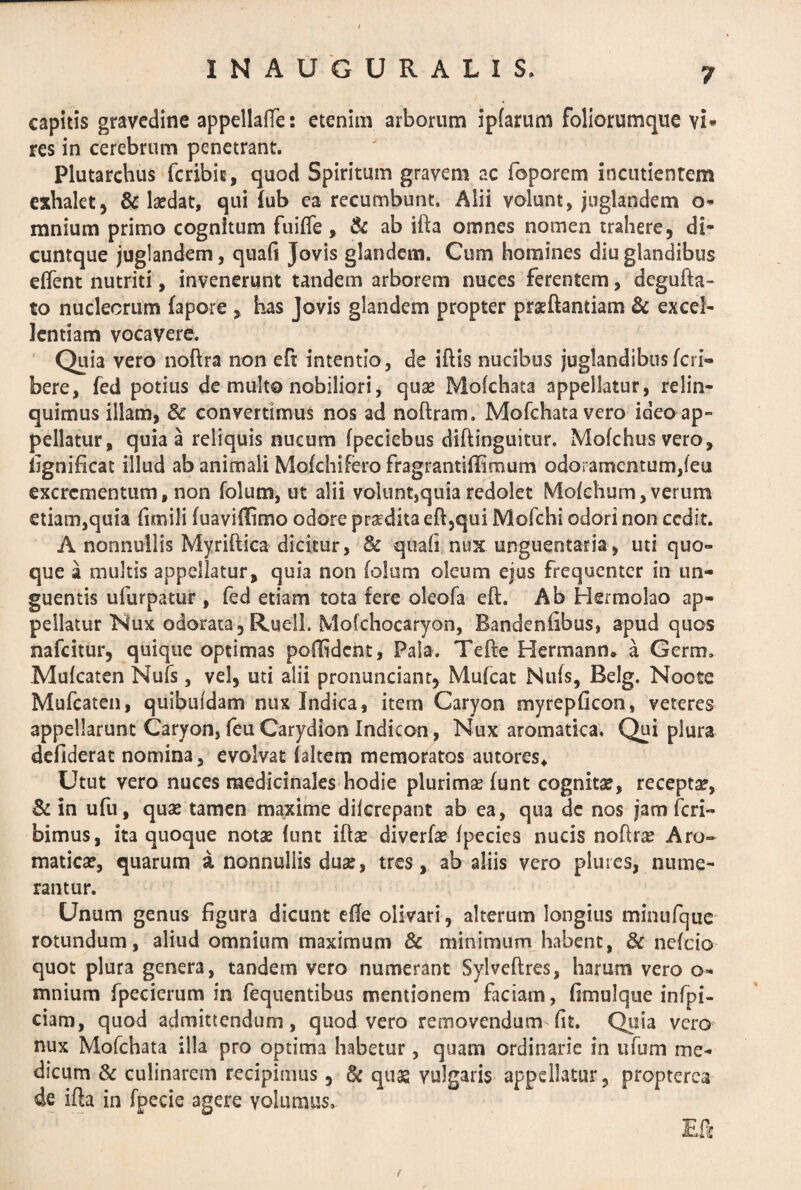 capitis gravedine appellafTe: etenim arborum ipfarum foliorumque vi* res in cerebrum penetrant. Plutarchus fcribit, quod Spiritum gravem ac foporem incudentem exhalet, & laedat, qui iub ea recumbunt. Alii volunt, juglandem o- mnium primo cognitum fuiffe , & ab ifta omnes nomen trahere, di- cuntque juglandem, quali Jovis glandem. Cum homines diu glandibus eflent nutriti, invenerunt tandem arborem nuces ferentem, degufta- to nucleorum fapore , has Jovis glandem propter praeftanriam & excel- lentiam vocavere. Quia vero noftra non eft intentio, de iftis nucibus juglandibus Ici i- bere, fed potius de multo nobiliori, quse Mofchata appellatur, relin¬ quimus illam, & convertimus nos ad noftram. Mofchata vero ideo ap¬ pellatur, quia a reliquis nucum Ipeciebus diftinguitur. Mofchusvero, dgnificat illud ab animali Molchifero fragrantiffimum odoramentum,(eu excrementum, non folum, ut alii voiunt,quia redolet Molchum, verum etiam,quia fimili fuavidimo odore prodita eft,qui Mofchi odori non cedit. A nonnullis Myriftica dicitur, dc quali nux unguentaria, uti quo¬ que a multis appellatur, quia non lolum oleum ejus frequenter in un¬ guentis ufurpatur , fed etiam tota fere oleofa eft. Ab Hermolao ap¬ pellatur Nux odorata, Ruell. Mofchocaryon, Bandeniibus, apud quos nafeitur, quique optimas poffident, Pala. Tefte Hermann. a Germ. Mulcaten Nufs, vel, uti alii pronunciant. Mulcat Nuis, Belg. Noote Mufcaten, quibuldam nux Indica, item Caryon myrepficon, veteres appellarunt Caryon, feu Carydion Indi-con, Nux aromatica. Qui plura defiderat nomina, evolvat (altem memoratos autores* Utut vero nuces medicinales hodie plurimas lunt cognitae, receptae, & in ufu, quae tamen maxime dilcrepant ab ea, qua de nos jam feri- bimus, ita quoque notae lunt iftae diverlae Ipecics nucis noftrae Aro¬ maticae, quarum a nonnullis duae, tres, ab aliis vero plui es, nume¬ rantur. Unum genus figura dicunt elfe olivari, alterum longius minufque- rotundum, aliud omnium maximum & minimum habent, & neleio- quot plura genera, tandem vero numerant Sylveftres, harum vero o- mnium fpecierum in fequentibus mentionem faciam, fimulque infpi- ciam, quod admittendum, quod vero removendum-Iit. Quia vero nux Mofchata illa pro optima habetur, quam ordinarie in ufum me¬ dicum & culinarem recipimus, & quas vulgaris appellatur, propterca de ifta in fpecie agere volumus. Eft