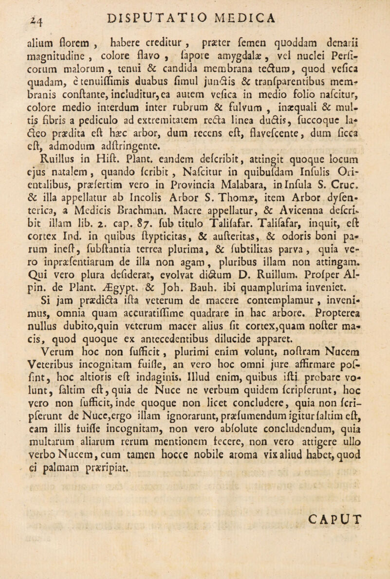 *4 alium florem , habere creditur , praeter femen quoddam denarii magnitudine , colore flavo , fapore amygdala , vel nuclei Perfi- corum malorum, tenui & candida membrana tedura, quod vefica quadam, e tenuiffimis duabus fimul juncis & tranfparentibus mem¬ branis conflante, includitur,ea autem vefica in medio folio nafcitur, colore medio interdum inter rubrum & fulvum , inaequali & mul¬ tis fibris a pediculo ad extremitatem reda linea dudis, fuccoquc la- deo praedita efi haec arbor, dum recens eft, flavefcente, dum ficea eft, admodum adftringente. Ruillus in Hift. Piant, eandem defcribit, attingit quoque locum ejus natalem , quando fcribit , Nafcitur in quibufdam Infulis Ori¬ entalibus, praefertim vero in Provincia Malabara, in Infula S. Cruc. & illa appellatur ab Incolis Arbor S. Thomse, item Arbor dyfen- tcrica, a Medicis Brachman. Maere appellatur, & Avicenna deferi* bit illam lib. 2. cap. 87. fub titulo Talifafar. Talifafar, inquit, eft cortex Ind. in quibus ftypticitas, & aufteritas, & odoris boni pa- rum ineft, fubflantia terrea plurima, & fubtilitas parva, quia ve¬ ro inprafentiarum de illa non agam, pluribus illam non attingam. Qui vero plura defiderat, evolvat didum D. Ruillum. Profper Al- pin. de Piant. ^Egypt. 3c Joh. Bauh. ibi quamplurima inveniet. Si jam praedida ifla veterum de macere contemplamur , inveni¬ mus, omnia quam aceuratiflime quadrare in hac arbore. Propterea nullus dubito,quin veterum macer alius fit cortex,quam nofter ma- cis, quod quoque ex antecedentibus dilucide apparet. Verum hoc non fufficit, plurimi enim volunt, noflram Nucem Veteribus incognitam fuifle, an vero hoc omni jure affirmare pofi» fint, hoc altioris eft indaginis. Illud enim, quibus ifti probare vo¬ lunt, faltim eft, quia de Nuce ne verbum quidem fcripferunt, hoc vero non iufficit,inde quoque non licet concludere, quia non fcri¬ pferunt de Nuce,ergo illam ignorarunt, praefumendum igitur faltim eft, eam illis tuifle incognitam, non vero abfolute concludendum, quia multarum aliarum rerum mentionem fecere, non vero attigere ullo verbo Nucem, cum tamen hocce nobile aroma vix aliud habet, quod ei palmam praeripiat. CAPUT