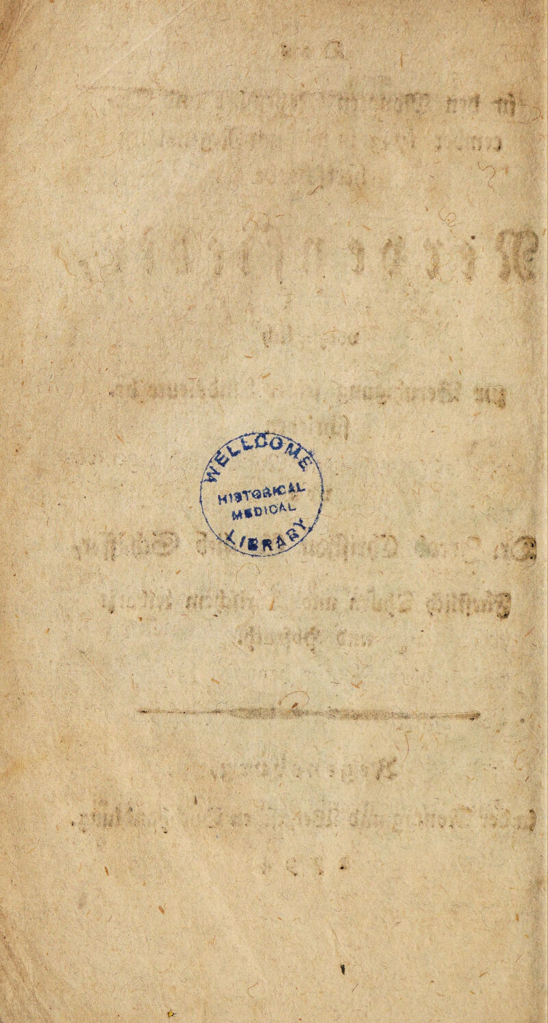 ! ** n » Jm ■ *: „T3A>C i1- »*»'*% 1 .7 ■>$; ;.f vk> 1