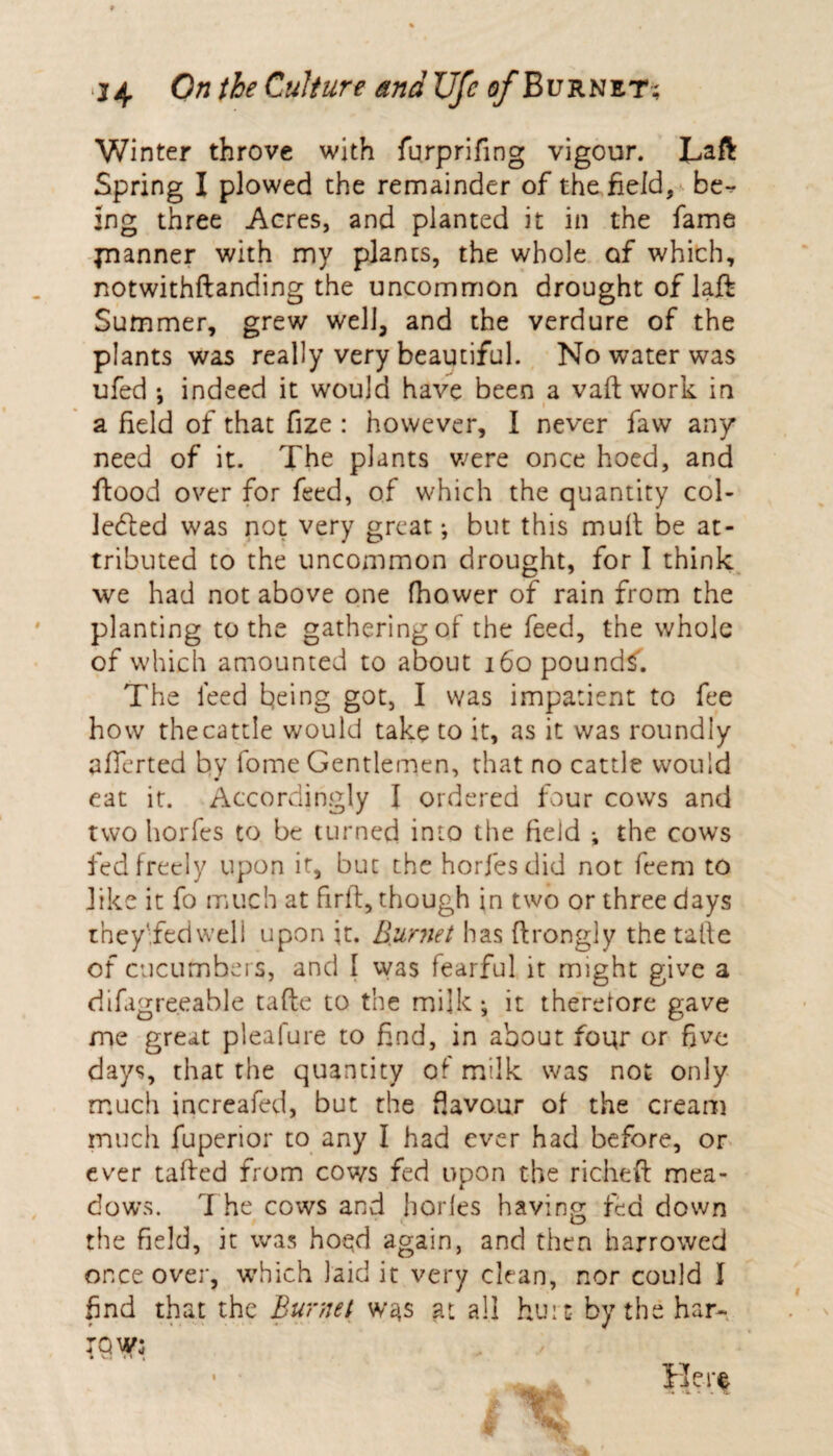 Winter throve with furprifing vigour. Laft Spring I plowed the remainder of the field, hew¬ ing three Acres, and planted it in the fame pnanner with my plants, the whole of which, notwithftanding the uncommon drought of laft Summer, grew well, and the verdure of the plants was really very beautiful. No water was ufed : indeed it would have been a vaft work in a field of that fize : however, I never faw any need of it. The plants were once hoed, and ftood over for feed, of which the quantity col¬ lected was not very great; but this mult be at¬ tributed to the uncommon drought, for I think we had not above one (bower of rain from the planting to the gathering of the feed, the whole of which amounted to about 160 pounds'. The feed being got, I was impatient to fee how the cattle would take to it, as it was roundly afferted by fome Gentlemen, that no cattle would eat it. Accordingly I ordered four cows and two horfes to be turned into the field ; the cows fed freely upon it, but the horfes did not feem to like it fo much at firft, though in two or three days they-fedwell upon it. Burnet has ftrongly the tatie of cucumbers, and { was fearful it might give a riifigre.eable tafte to the milk ; it therelore gave me great pleafure to find, in about four or five days, that the quantity of milk was not only much increafed, but the flavour of the cream much fuperior to any I had ever had before, or ever tafted from cows fed upon the richeft mea¬ dows. T he cows and horles having fed down the field, it was hoqd again, and then harrowed onceover, which laid it very clean, nor could I find that the Burnet w3s at all hurt by the har- Berf *%T