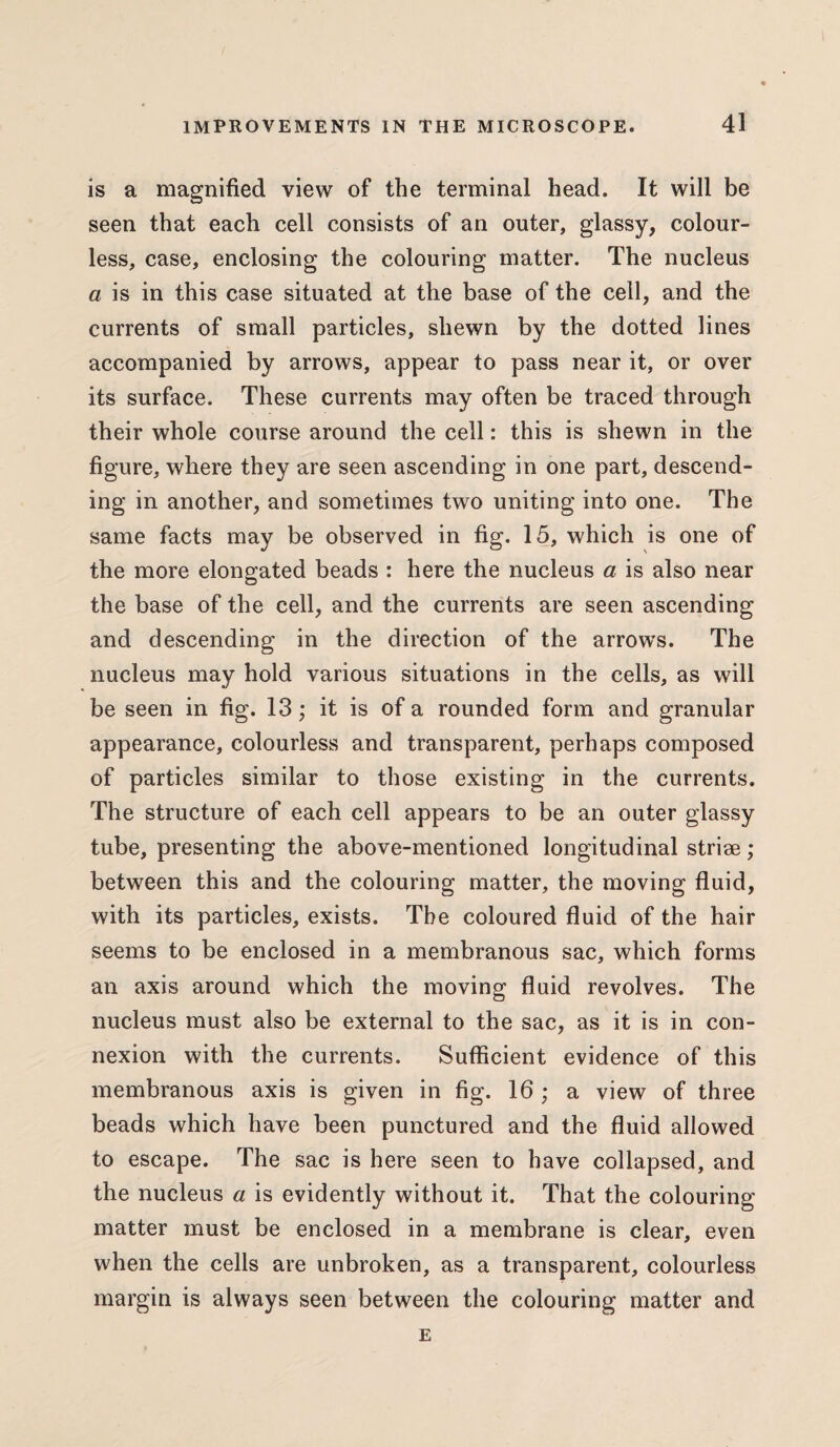is a magnified view of the terminal head. It will be seen that each cell consists of an outer, glassy, colour¬ less, case, enclosing the colouring matter. The nucleus a is in this case situated at the base of the cell, and the currents of small particles, shewn by the dotted lines accompanied by arrows, appear to pass near it, or over its surface. These currents may often be traced through their whole course around the cell: this is shewn in the figure, where they are seen ascending in one part, descend¬ ing in another, and sometimes two uniting into one. The same facts may be observed in fig. 15, which is one of the more elongated beads : here the nucleus a is also near the base of the cell, and the currents are seen ascending and descending in the direction of the arrows. The nucleus may hold various situations in the cells, as will be seen in fig. 13; it is of a rounded form and granular appearance, colourless and transparent, perhaps composed of particles similar to those existing in the currents. The structure of each cell appears to be an outer glassy tube, presenting the above-mentioned longitudinal strise; between this and the colouring matter, the moving fluid, with its particles, exists. The coloured fluid of the hair seems to be enclosed in a membranous sac, which forms an axis around which the moving fluid revolves. The nucleus must also be external to the sac, as it is in con¬ nexion with the currents. Sufficient evidence of this membranous axis is given in fig. 16 ; a view of three beads which have been punctured and the fluid allowed to escape. The sac is here seen to have collapsed, and the nucleus a is evidently without it. That the colouring matter must be enclosed in a membrane is clear, even when the cells are unbroken, as a transparent, colourless margin is always seen between the colouring matter and E