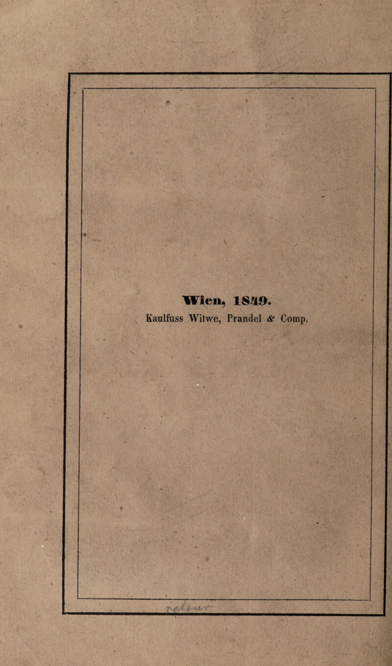 mmmmm —^r- Wien, 1849. Kaulfuss Witwe, Pranilel & Comp. r-o * t vi r C.