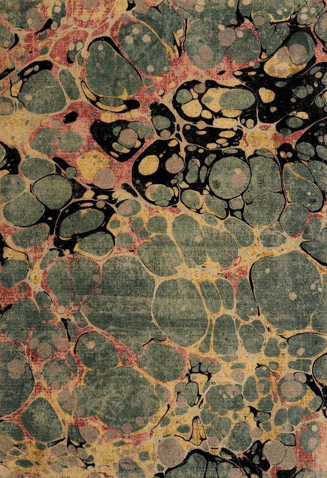 No text description is available for this image