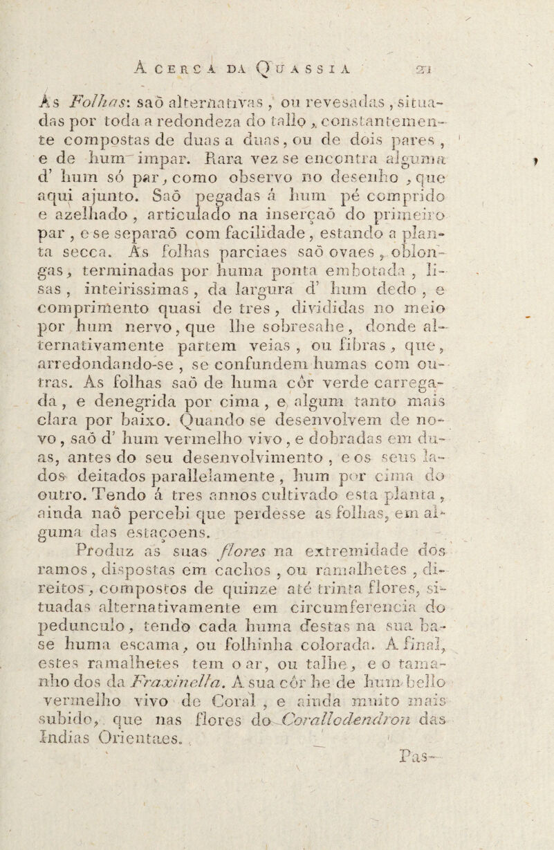 cerca da O cássia 2T1 As Folhas: saò alternativas , ou revesaclas , situa¬ das por toda a redondeza do tallo * constantemen- te compostas de duas a duas, ou de dois pares, e de humr impar. Piara vez se encontra alguma d7 hum só par, como observo no desenho , que aqui ajunto. Saõ pegadas á hum pé comprido e azelhado , articulado na inserção do primeiro par , e se separaõ com facilidade , estando a plan¬ ta secca. A.s folhas parciaes saõ ovaes oblon¬ gas, terminadas por huma ponta embotada , li¬ sas , inteirissimas , da largura d' lium dedo , e comprimento quasi de tres , divididas no meio por hum nervo, que lhe sobresahe , donde al¬ ternativamente partem veias, ou libras , que, arredondando-se , se confundem htimas com ou¬ tras. As folhas saõ de huma cór verde carrega- da , e denegrida por cima , e, algum tanto mais clara por baixo. Quando se desenvolvem de no¬ vo , saõ d’ hum vermelho vivo , e dobradas em du¬ as, antes do seu desenvolvimento , e os seus la¬ do deitados parallelamente , hum por cima do outro. Tendo á tres annos cultivado esta planta , ainda naô percebi que perdesse as folhas, em al¬ guma das estaçoens. Produz as suas flores na extremidade dos ramos, dispostas em cachos , ou ramalhetes , di¬ reitos^ compostos de quinze até trinta flores, si¬ tuadas alternativamente em circumferencia do pedunculo, tendo cada huma destas na sua ba¬ se huma escama, ou folhinha colorada. Afinal, estes ramalhetes tem o ar, ou talhe , eo tama¬ nho dos da Fraxineüa. A sua cor he de limmbello vermelho vivo de Coral , e ainda muito mais subidoj . que nas flores do-JOorallcdenãron das índias O ri entoes. , f '