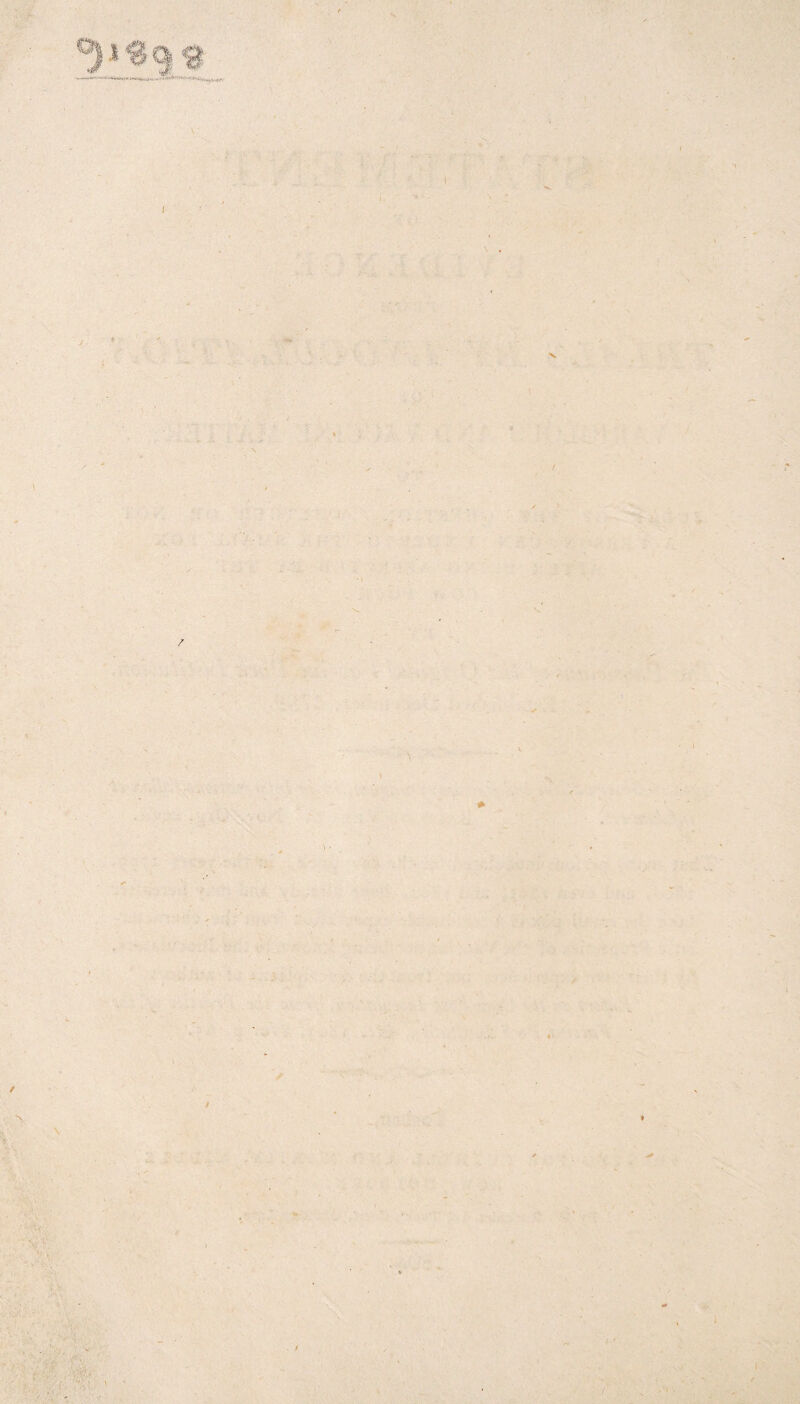 ( \' \ / / V / i l i /(