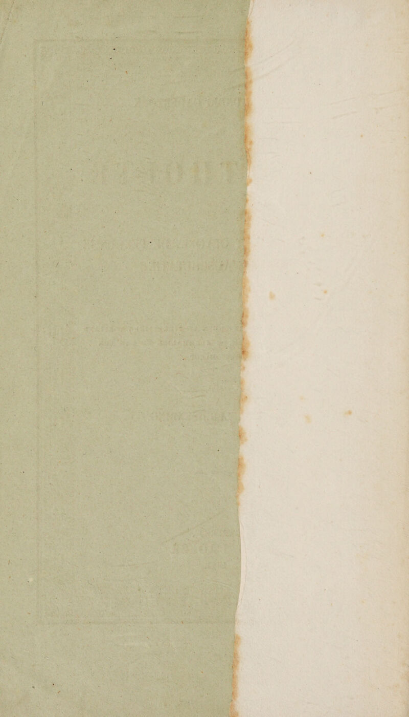 1 • 5 - • ■' ■ ■■ . 5v'’'f ■ ‘ •.• v' •'ï,.• .,•* V ■.■■■^ .■■.--'^ar f ■■■_■■■>.■ .■■-' / ' ■■•fcF . . •.. . ■■•-./t:- .. -' ■ ■•••.' j :•- .■• Jt-' -v'•’•' t ’ : '^ if ’k' ,.•«»•.■ • 7-> -•v...\.^. {-i \ rs „f,- ^ _.• j.' , ■-• ’ •** ■ ^ ‘ ^ . •' “ï:_y ■tv'.' •: i. -»v- 3 . ',J < •' • /; ;.-• '. ■ ■•> ■ V'. ' ' ■ ■ * *» ■ • V' , 'i •• r ■. ■ ' « ‘ r . ', i . V.:, c. ' ^ f ■•'^ .- - , ' 't . 1' • * *' '‘ ' ■ '.t V «4. j- • t'V I ^ ’ ■■<■■,. ■ S ► '• ,' r-^,' f 'i (r.. - ' V , S- „ ;.v;•^:■ ; .' ■' * •' »*■ ,1 ' rfv'. V . . ■ - V . ■ . ' i • ' ,' \ ^ , -v’-'' ''v''- .V ■ r v‘ ■ •. •■: ■'■ . j 'r;^N.V >. v--;. 'S’- -^ .V i3 é % * '^: 4 /i « # 1