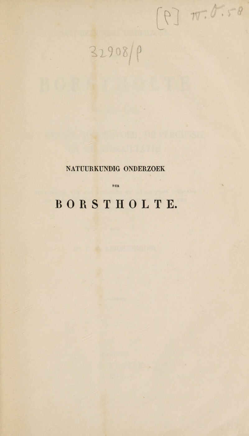 NATUURKUNDIG ONDERZOEK »ER BORSTHOLTE.