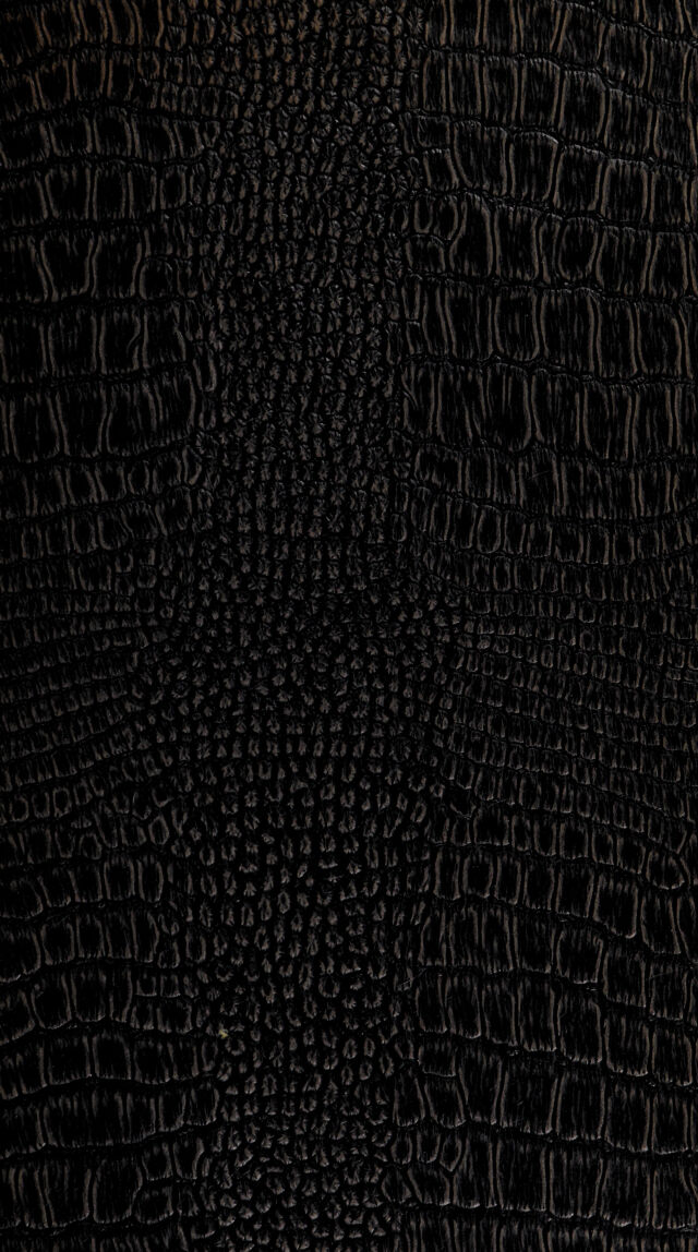 digitised image 1