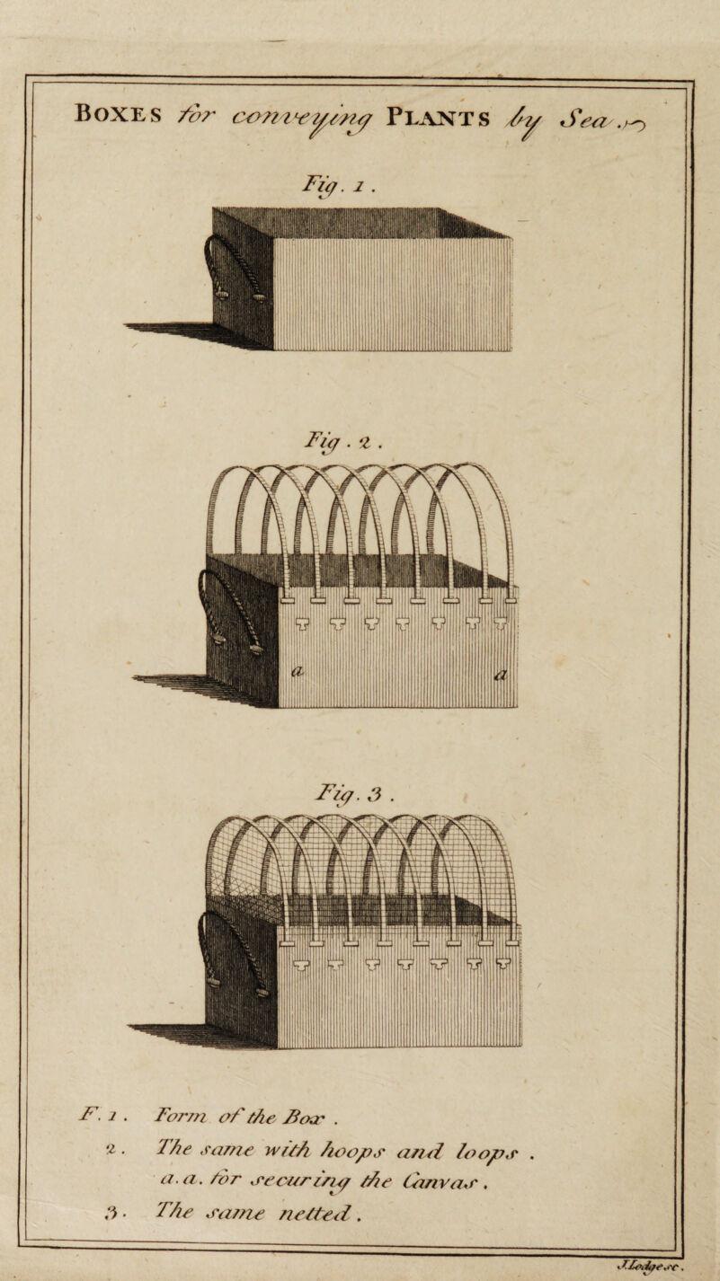 Boxes for comvpny Plants Zy Sea .,0 F(<t * ■ Fifjf . ‘I . Fo/. a. F. 1 . Form of the Fexr . •z. The same with hoops and /oops . a. a. tor securing /he Canvas . h ■ The same netted.