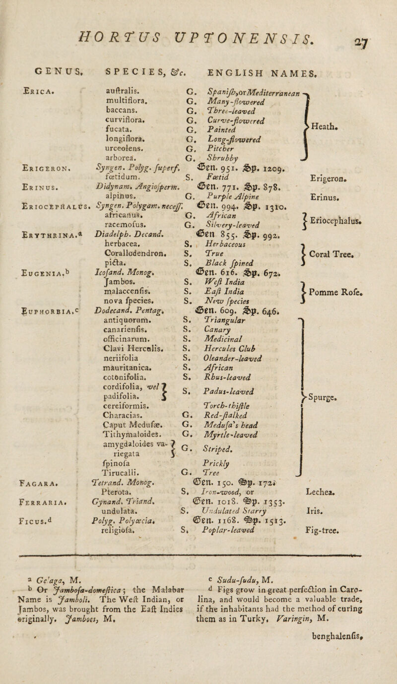 27 GENUS, Erica. SPECIES, &?r. ENGLISH NAMES, auftralis. multiflora. baccans. curviflora. fucata. longiflora. urceolens. arborea. G. SpaniJb,ox Mediterranean G. Many-flowered G. Three-leaved G. Curve-flowered G. Painted G. Long-flowered G. Pitcher G. Shrubby Syngen. Polyg. fuperf. 951. &p. 1209. fcetidum. S. Foetid Didynam. Angiojperm. 771. ;§>p. 878. alpinus. G. Purple Alpine Er ioceph alus. Syngen. Polygam. necejfl. 43sn. 994, ^p. 1310. africanus. G. African racemofus. G. Silvery-leaved Diadelpb. Decand. 45gn 855. .^>p. 992 herbacea. Erigeron. Er inus. Er vthrina.4 Eugenia.15 Euphorbia,0 Fagara. i Ferraria. Ficus.d Corallodendron, pifla. Icofand. Monog. Jambos. malaccenfis. nova fpecies. Dodecand. Pentag. antiquorum, canarienfis. officinarum. Clavi Hercnlis. neriifolia mauritanica. cotonifolia. cordifolia, 1>el padifolia. cereiformis. Characias. Caput Medufae. Tithymaloides. amygdaloides va riegata fpinofa Tirucalli. *Tetrand. Monog. Pterota. Gynand. Triand. undulata. Polyg. Polycecia, religiofa. S. Herbaceous S. True S. Black fpincd 616. &p. 672. S, Weft India S. Eafl India S. New fpecies <©en. 609. &p. 646. S. Triangular S. Canary S. Medicinal S. Hercules Club S. Oleander-leaved S. African S. Rhus-leaved S, Padus-leaved Torch- thiflle G. Red-flalked G. Medufa's head G. Myrtle-leaved Striped, G. G. Prickly Tree (£>cn. 150. ^3p. 172* S, Ton-wood, or 1018. ^p. 1353. S. Undulated Starry <55en. 1168. <g>p. 1513. S, Poplar-leaved Heath, Erigeron. Erinus. ^ Eriocephalus. 1 } Coral Tree, Pomme Rofe, m Spurge, Lechea. Iris. Fig-tree. a Ge’aga, M. b Or Jambofa-domeflica; the Malabar Name is 'Jamboli. The Weft Indian, or Jambos, was brought from the Eaft Indies originally, Jamboes, M, c Sudu-fudu, M. d Figs grow in great perfedtion in Caro¬ lina, and would become a valuable trade, if the inhabitants had the method of curing them as in Turky, Varingin, M. benghalenfis.
