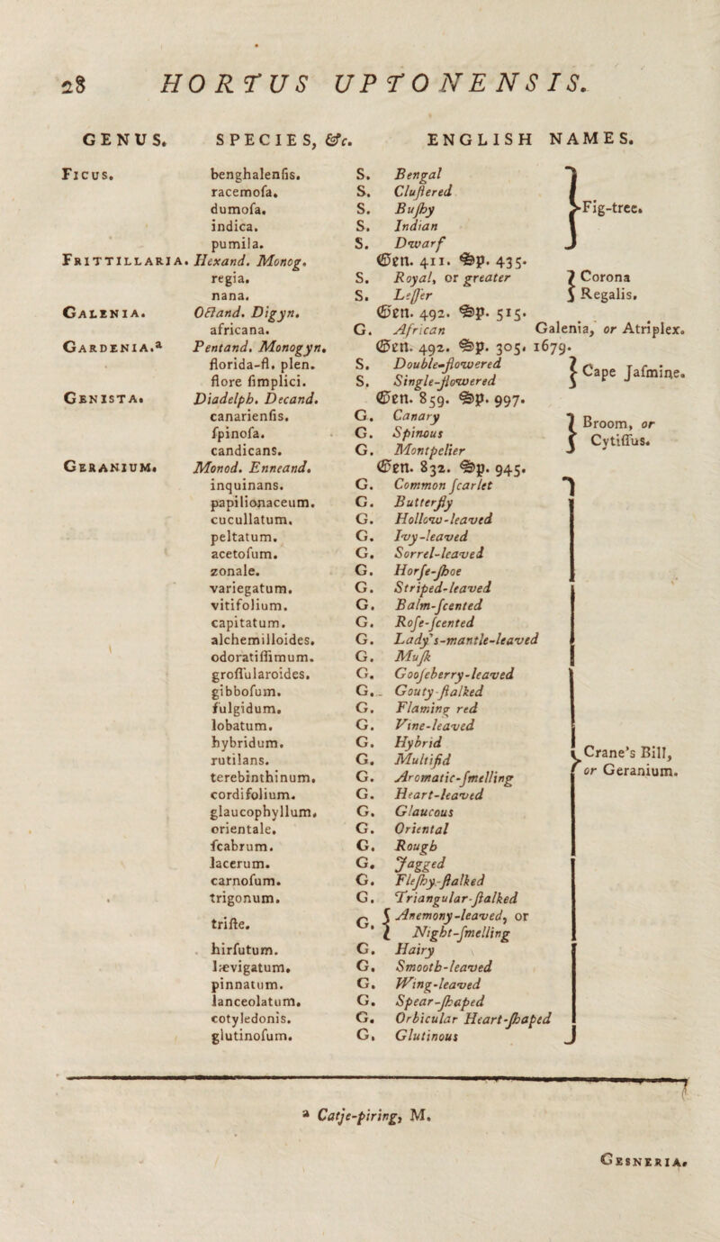 GENUS. Ficus. Frittillaria Galinia. Gardenia.1 Genista. Geranium. SPECIES, ©V. ENGLISH NAMES. benghalenfis. racemofa. dumofa. indica. pumila. Hexand. Moncg. regia, nana. ORand. Digyn, africana. Pentand. Monogyn, florida-fl. plen. flore fimplici. Diadelph, Decand. canarienfis. fpinofa. candicans. Monod. Enneand, Fig-tree. 7 Corona } Regalis, S. Bengal S. Cluflered S. Bujhy S. Indian S. Dwarf <5)en. 411. 435. S. Royal, or greater S. Le/fer <£5ett. 492. 515. G. African Galenia, or Atriplex. (55en. 492. 305, 1679. S. Double^fiovuered S. Single-flowered <E>en. 859. ^§>p. 997. G, Canary G. Spinous G. Montpelier €>en. 832. ^)p. 945. ^ Cape Jafmine. } Broom, or Cytiffus. inquinans. G. Common fcarlet papilionaceum. G. Butterfly cucullatum. G. Hollow-leaved peltatum. G. Ivy-leaved acetofum. G. Sorrel-leaved zonale. G. Horfe-Jhoe variegatum. G. Striped-leaved vitifolium. G. Balm-fcented capitatum. G. Rofe-Jcented alchemilloides. G. Lady s-mantle-leaved odoratiffimum. G. Mujk groflularoides. G. Goojeberry-leaved gibbofum. G._ Gouty fialked fulgidum. G. Flaming red lobatum. G. Vine-leaved hybridum. G. Hybrid rutilans. G. Multifid terebinthinum. G. Aromatic-fmel/ing cordifolium. G. Heart-leaved glaucophyllum. G. Glaucous orientale. G. Oriental fcabrum. G. Rough lacerum. G. Jogged carnofum. G# Flejhy-fialked trigonum. G. Triangular-fialked tri Ap G ■ [ Anemony-leaved^ or El 11LV. 0 [ Night-fmelling hirfutum. G. Hairy \ l^vigatum. G, Smooth-leaved pinnatnm. G. Wing-leaved lanceolatum. G. Spear-Jkaped cotyledonis. G. Orbicular Heart-fhapt glutinofum. G. Glutinous Crane’s Bill, or Geranium. a Catje-piringj M. Gesnexi A