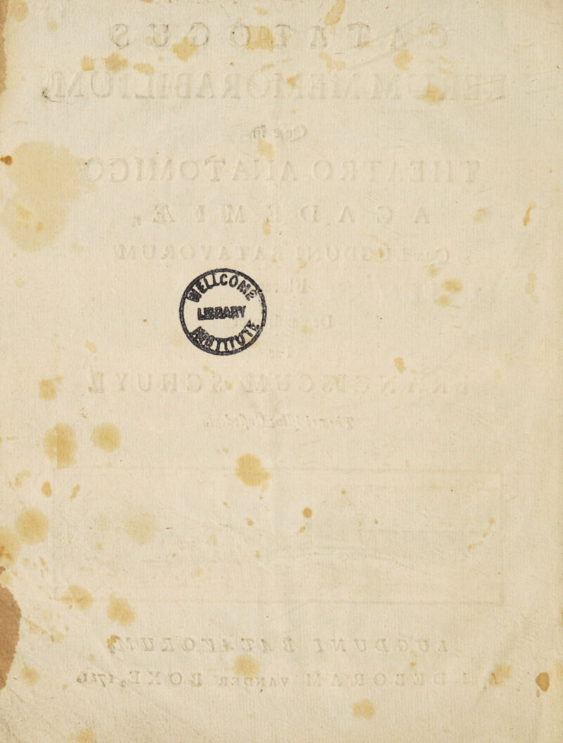 / .V * . * 'V / \ i / / /