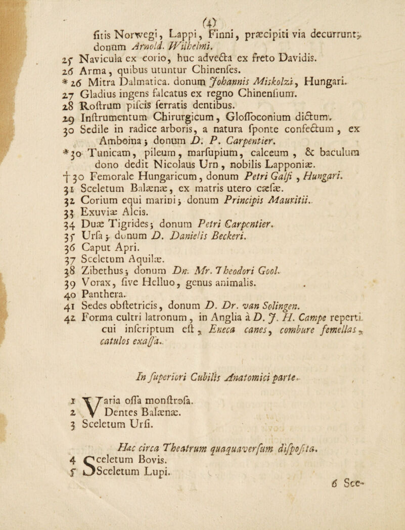 a> filis Norwegi, Lappi, Finni, prxcipiti via decurrunt^ dorjam Amold. Wiihelmi. 2,f Navicula ex corio, huc adve&a ex freto Davidis. 2(5 Arma, quibus utuntur Chinenfes. * 16 Mitra Dalmatica, donum Johannis Miskolzi, HungarL 27 Gladius ingens falcatus ex regno Chineniium. 28 Roftmm pifcis ferratis dentibus. 29 Inftrumentum Chirurgicum, Glofibconium didlumv 30 Sedile in radice arboris, a natura fponte confeftum , ex Amboina > donum D. P. Carpentier. *io Tunicam, pileum, marfupium, calceum , baculum dono dedit Nicolaus Urn , nobilis Lapponix. -^30 Femorale Hungaricum, donum Petri Galfi , HungarL 31 Sceletum Balxnx, ex matris utero cxfx. 32 Corium equi marini; donum Principis Mauritii. 33 Exuvix Alcis. 34 Dux Tigrides; donum Petri Carpentier. 3f Urfa > donum D. Danietis Beckeri. 36 Caput Apri. 37 Sceletum Aquilx. 38 Zibethus; donum Z)#. Mr. Theodori Gool. 39 V^orax, fiveHelluo, genus animalis. 40 Panthera. 41 Sedes obftetricis, donum D. Dr. van Solingen. 42 Forma cultri latronum , in Anglia a D. J. H. Campe reperti cui infcriptum eft , Eneca canes, combure femellas * catulos exatfa.. Infuperiori Cubilis Anatomici parte„ 3 Sceletum Urfi. 4 Qceletum Bovis, f i^Sceletum Lupi. Theatrum quaquaverfum difpofita*