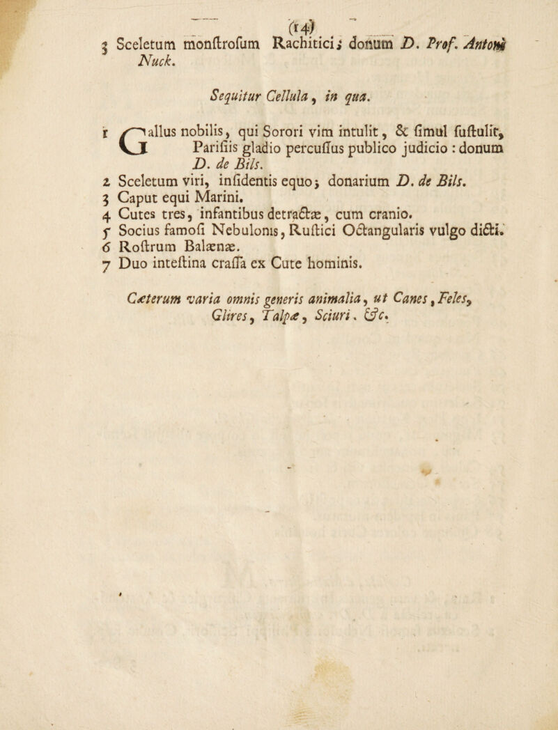 -- (*4). . __ 3 Sceletum monUrofum Rachitidi donum D. Prof. Antoni Nuck. Sequitur Cellula, r /Gallus nobilis, qui Sorori vim intulit, & fimul fuftulit, Vj Parifiis gladio percuflus publico judicio : donum D. de Bils. i Sceletum viri, infidentis equoj donarium D. de Bils. 3 Caput equi Marini. 4 Cutes tres, infantibus detrafbe, cum cranio. f Socius famofi Nebulonis, Ruftici Odtangularis vulgo di£ti. 6 Roftrum Balsense. 7 Duo inteftina crafla ex Cute hominis. Ceterum varia omnis generis animalia, ut Canes, Feles9 Glires, Talpae, Sciuri. &c.