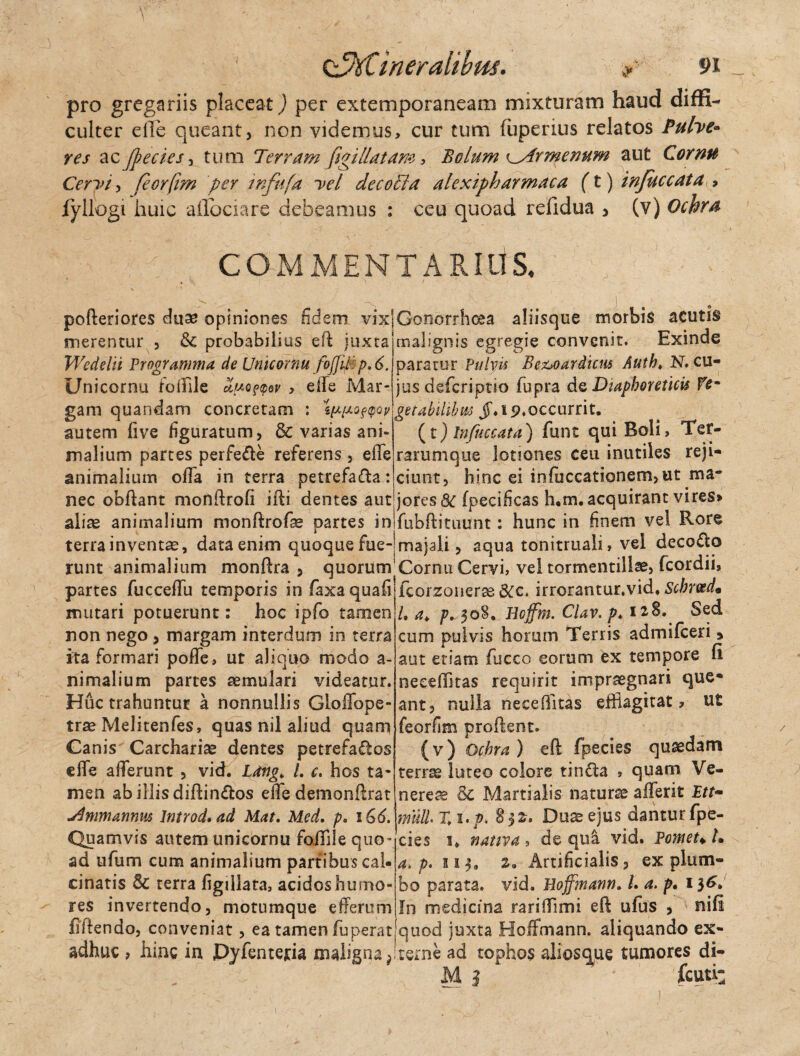 pro gregariis placeat) per extemporaneam mixturam haud diffi¬ culter effle queant, non videmus, cur tum fuperius relatos Pube¬ res ac j];ecies, tum Terram figi liat am, Bolum ^Armenum aut Cornu Ceryi, feorfim 'per tnfufa yel decotta alexipharmaca (£) infuccata , fyllogi huic aflociare debeamus : ceu quoad refidua , (v) Ochra COMMENTARIUS, Jo- >' pofteriores duse opiniones fidem vixjGonorrhoea aliisque morbis acutis o _ i ! i*_ n • * i- • __: _ merentur , & probabilius eft juxta Wedelii Programma de Unicornu fojjf p, 6. Unicornu fofflle , effe Mar¬ gam quandam concretam : \^q^qv autem five figuratum, & varias ani¬ malium partes perfe&e referens , effe animalium offa in terra petrefafta: malignis egregie convenit. Exinde paratur Pulvis Bemariicus Auth. N, cu¬ jus deferiptio fupra de Diaphoreticis Yem getabilibm jT.tp.occurrit. (t) Infuccata) funt qui Boli, Ter- rarumque lotiones ceu inutiles reji¬ ciunt, hinc ei infuccationem,ut ma* nec obftant monftrofi ifti dentes aut jores 8C fpecificas h,m. acquirant vires aliae animalium monftrofae partes in terra inventae, data enim quoque fue¬ runt animalium monftra , quorum fubftituunt: hunc in finem vel Rore majali, aqua tonitruali, vel deco£to Cornu Cervi, vel tormentillae, fcordii. partes fucceffu temporis in fiaxa quafi fcorzonerae&c. irrorantur.vid. Schrudm mutari potuerunt: hoc ipfo tamen /, a. p. 308. Hcffm. Clav. p♦ 128. Sed non nego, margam interdum in terra ita formari poffe, ut aliquo modo a- nimalium partes aemulari videatur. Huc trahuntur a nonnullis Gloffope- trae Melitenfes, quas nil aliud quam Canis Carchariae dentes petrefa&os effe afferunt , vid. Ldng> L c. hos ta¬ men ab illis diftin&os effedemonftrat annus introd. ad Mat. Med. p„ 166. Quamvis autem unicornu fofflle quo¬ ad tifum cum animalium partibus cal- cinatis 5c terra figillata, acidos humo¬ res invertendo, motumque efferum cum pulvis horum Terris admifeeri 9 aut etiam fucco eorum ex tempore fi neeefflitas requirit impraegnari que* ant, nulla neceffitas efflagitat, ut feorfim proflent. (v) Ochra ) eft fpecies quaedam terrae luteo colore tinfta , quam Ve¬ nerea & Martialis naturae afferit Ett- muli. Zi.p. 832. Duae ejus dantur fpe¬ cies 1* nativa , de qui vid. Pomet* L a. p. 113, 2. Artificialis, ex plum¬ bo parata, vid. Hojfmann. L a. p. 136. !n medicina rariffimi eft ufus , nifi fiftendo, conveniat, ea tamen fuperatjquod juxta Hoffmann. aliquando ex- adhuc , hinc in JDyfentefia maligna terne ad tophos aliosque tumores di- j ' icuti: