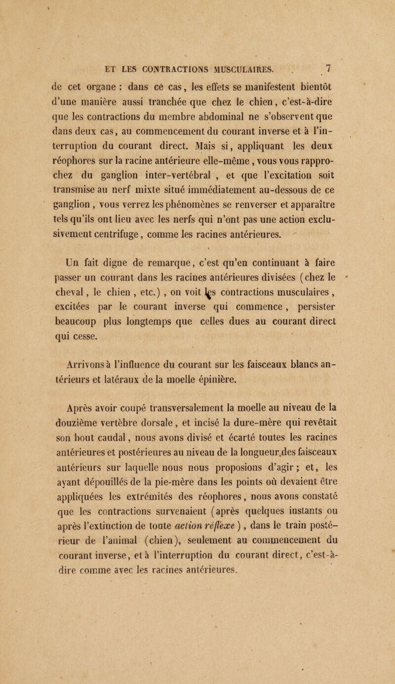 de cet organe : dans ce cas, les effets se manifestent bientôt d’une manière aussi tranchée que chez le chien, c’est-à-dire que les contractions du membre abdominal ne s’observent que dans deux cas, au commencement du courant inverse et à l’in¬ terruption du courant direct. Mais si, appliquant les deux réophores sur la racine antérieure elle-même, vous vous rappro¬ chez du ganglion inter-vertébral , et que l’excitation soit transmise au nerf mixte situé immédiatement au-dessous de ce ganglion , vous verrez les phénomènes se renverser et apparaître tels qu’ils ont lieu avec les nerfs qui n’ont pas une action exclu¬ sivement centrifuge, comme les racines antérieures. » Un fait digne de remarque, c’est qu’en continuant à faire passer un courant dans les racines antérieures divisées (chez le cheval, le chien , etc.) , on voit l^s contractions musculaires , excitées par le courant inverse qui commence, persister beaucoup plus longtemps que celles dues au courant direct qui cesse. Arrivons à l’influence du courant sur les faisceaux blancs an- térieurs et latéraux de la moelle épinière. Après avoir coupé transversalement la moelle au niveau de la douzième vertèbre dorsale, et incisé la dure-mère qui revêtait son bout caudal, nous avons divisé et écarté toutes les racines antérieures et postérieures au niveau de la longueur.des faisceaux antérieurs sur laquelle nous nous proposions d’agir; et, les ayant dépouillés de la pie-mère dans les points où devaient être appliquées les extrémités des réophores, nous avons constaté que les contractions survenaient (après quelques instants ou après l’extinction de toute action réflexe ), dans le train posté¬ rieur de l’animal (chien), seulement au commencement du courant inverse, et à l’interruption du courant direct, c’est-à- dire comme avec les racines antérieures.