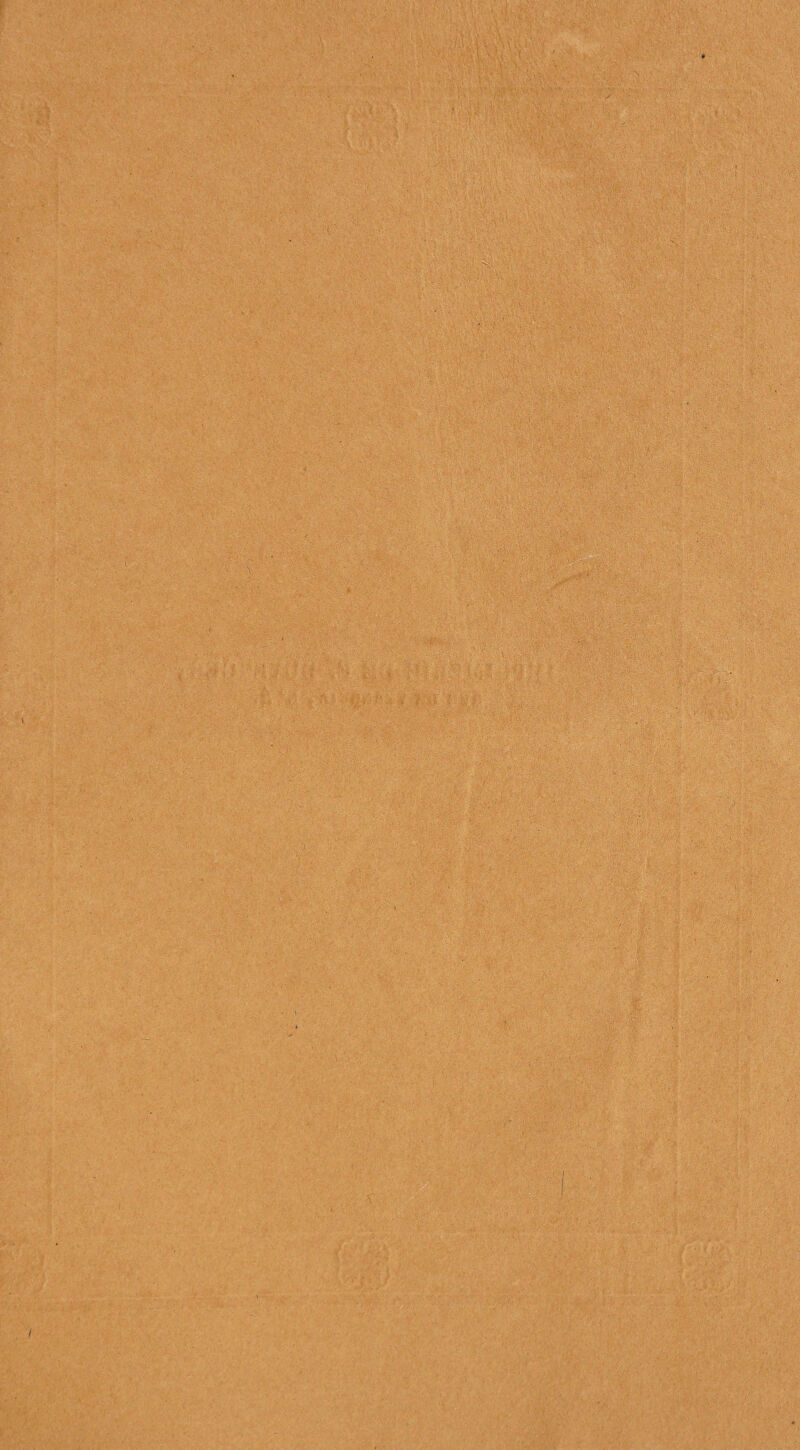 > . V «ï »'v »..? ;; • y.; y ■ ï ■ 1 -mtr ;v: ;■ . ; V, ■ ! ■ -v;:','. ''  ' ' -i. • y-A : >.: -.y .» ',*■ : ■ ■ - ■ y ÿ' -:%S\ vÿ:-‘’ r . ■ y e; '.W W£k & f^§y3.’y;:, K.y -y -y:: A? y;:yv:-: . . » - i • • • • t ■ ;•_ •/' . . . ■ ; \ ,. ,.' - - : ■■••.■' .■ • ■';■•■ ■ ' ■ v • «if • - ;‘vW' >:>•.■■■&■(■• ': ■■ > : ■ ' ■ ; L.-y - -â , ■ yv;./.Vvry ':; y ■ . ■ : • ■  • •  ; • (ir ■ t *-V . ÿrp-y .. o- •. ? • i ■ - ■ ■ ■>; •-• • '  ... - ' .:■■■. •'-• y y. ' ■ - *• ' •- 1 .•■• • : - • . - ■ ■ . .. .yx» •■ < ■ ; : ■ ■ :V . • f7 ‘V -J- 1 ; • : •« - '■}■ - •- ■ v, .. ar. ■ ( •- IV; ■