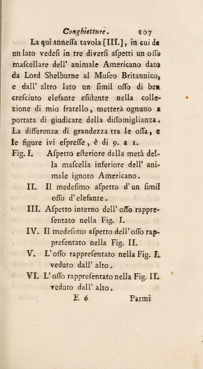 La qui annetta tavola [III.], in cui dft un lato vedefi in tre divertt afpetti un off® macellare deli* animale Americano data da Lord Shelburne ai Mufeo Britannico* e dall’ altro lato un fimil otto di ben crefciuto elefante efittente nella colie* zione di mio fratello, metterà ognuno a portata di giudicare della dittomiglianza «, La differenza di grandezza tra le otta, e le figure ivi efprefle, è di 9. a r. Fig. I. Afpetto etteriore delia metà del- la mafcella inferiore dell’ ani¬ male ignoto Americano e IL. Il medefimo afpetto d’un fimi! otto d’elefante .. III. Afpetto interno dell’ otto rappre- fentato nella Fig. I. IV. Il medefimo afpetto deli5 otto rap- prefentato nella Fig. IL V. V otto rapprefentato nella Fig. L veduto dall’ alto. VI. L’otto rapprefentato nella Fig. IL veduto dall’ alto,