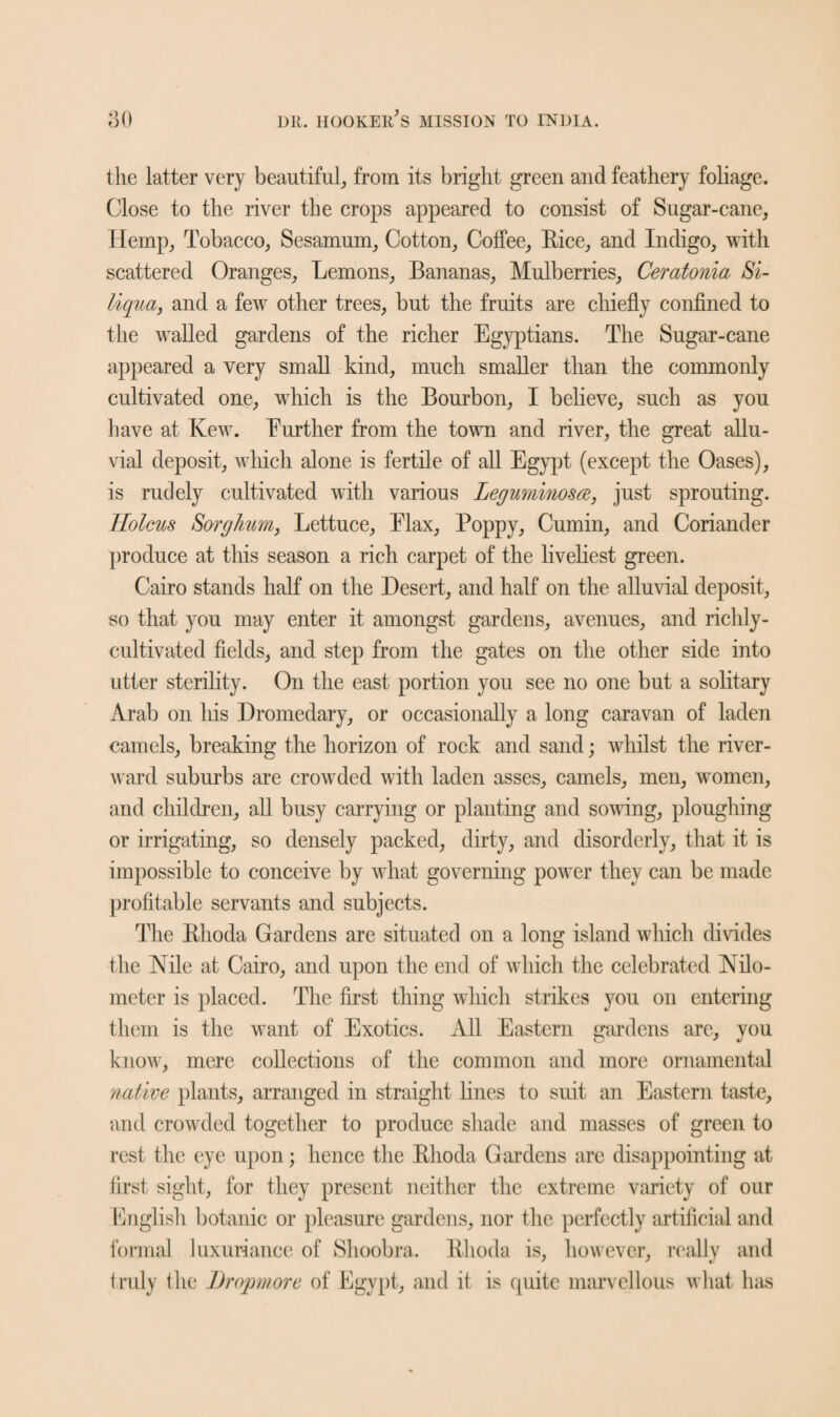 the latter very beautiful, from its bright green and feathery foliage. Close to the river the crops appeared to consist of Sugar-cane, Hemp, Tobacco, Sesamum, Cotton, Coffee, Rice, and Indigo, with scattered Oranges, Lemons, Bananas, Mulberries, Ceratonia Si- liqua, and a few other trees, but the fruits are chiefly confined to the walled gardens of the richer Egyptians. The Sugar-cane appeared a very small kind, much smaller than the commonly cultivated one, which is the Bourbon, I believe, such as you have at Kew. Eurther from the town and river, the great allu¬ vial deposit, which alone is fertile of all Egypt (except the Oases), is rudely cultivated with various Leguminosce, just sprouting. Holcus Sorghum, Lettuce, Elax, Poppy, Cumin, and Coriander produce at this season a rich carpet of the liveliest green. Cairo stands half on the Desert, and half on the alluvial deposit, so that you may enter it amongst gardens, avenues, and richly- cultivated fields, and step from the gates on the other side into utter sterility. On the east portion you see no one but a solitary Arab on his Dromedary, or occasionally a long caravan of laden camels, breaking the horizon of rock and sand; whilst the river- ward suburbs are crowded with laden asses, camels, men, women, and children, all busy carrying or planting and sowing, ploughing or irrigating, so densely packed, dirty, and disorderly, that it is impossible to conceive by what governing power they can be made profitable servants and subjects. The Rlioda Gardens are situated on a long island which divides the Nile at Cairo, and upon the end of which the celebrated Nilo- meter is placed. The first thing which strikes you on entering them is the want of Exotics. All Eastern gardens are, you know, mere collections of the common and more ornamental native plants, arranged in straight hues to suit an Eastern taste, and crowded together to produce shade and masses of green to rest the eye upon; hence the Rlioda Gardens are disappointing at first sight, for they present neither the extreme variety of our English botanic or pleasure gardens, nor the perfectly artificial and formal luxuriance of Shoobra. Rlioda is, however, really and Indy the Dropmore of Egypt, and it is quite marvellous what has
