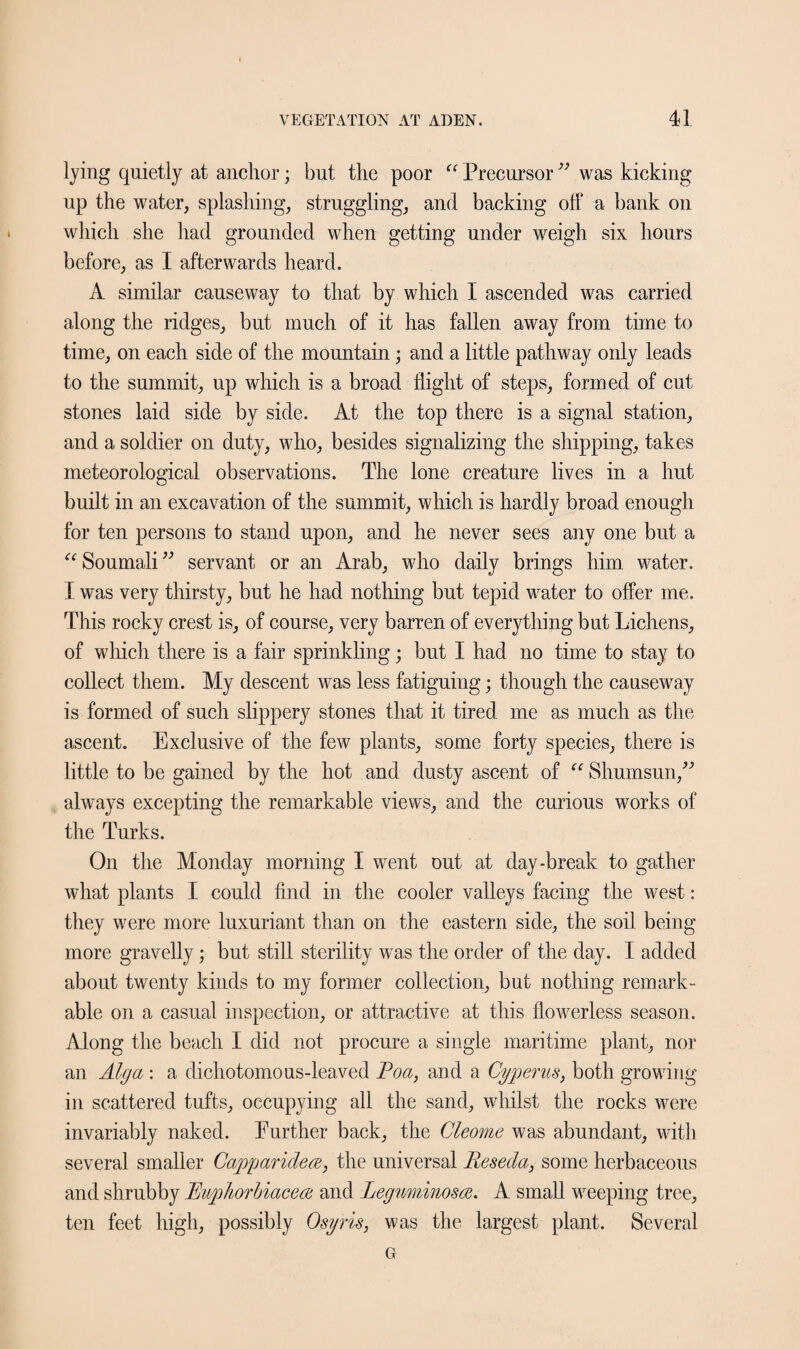 lying quietly at anchor; but the poor “ Precursor ” was kicking up the water, splashing, struggling, and backing olf a bank on which she had grounded when getting under weigh six hours before, as I afterwards heard. A similar causeway to that by which I ascended was carried along the ridges, but much of it has fallen away from time to time, on each side of the mountain; and a little pathway only leads to the summit, up which is a broad flight of steps, formed of cut stones laid side by side. At the top there is a signal station, and a soldier on duty, who, besides signalizing the shipping, takes meteorological observations. The lone creature lives in a hut built in an excavation of the summit, which is hardly broad enough for ten persons to stand upon, and he never sees any one but a “ Soumali ” servant or an Arab, who daily brings him water. I was very thirsty, but he had nothing but tepid water to offer me. This rocky crest is, of course, very barren of everything but Lichens, of which there is a fair sprinkling; but I had no time to stay to collect them. My descent was less fatiguing; though the causeway is formed of such slippery stones that it tired me as much as the ascent. Exclusive of the few plants, some forty species, there is little to be gained by the hot and dusty ascent of “ Shumsun,” always excepting the remarkable views, and the curious works of the Turks. On the Monday morning I went out at day-break to gather what plants I could find in the cooler valleys facing the west: they were more luxuriant than on the eastern side, the soil being more gravelly; but still sterility was the order of the day. I added about twenty kinds to my former collection, but nothing remark¬ able on a casual inspection, or attractive at this flowerless season. Along the beach I did not procure a single maritime plant, nor an Alga : a dichotomous-leaved Poa, and a Cyperus, both growing in scattered tufts, occupying all the sand, whilst the rocks were invariably naked. Further back, the Cleome was abundant, with several smaller Capyaridece, the universal Reseda, some herbaceous and shrubby Ruphorbiaceat and Leguminosce. A small weeping tree, ten feet high, possibly Osyris, was the largest plant. Several G