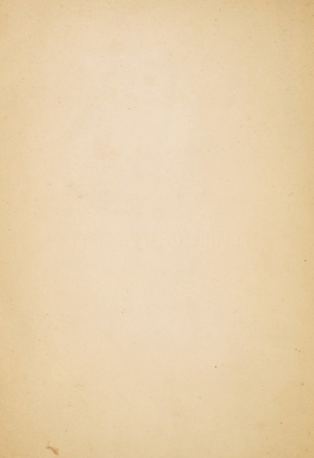 digitised image 2