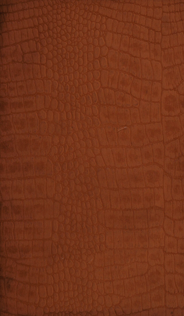 digitised image 1
