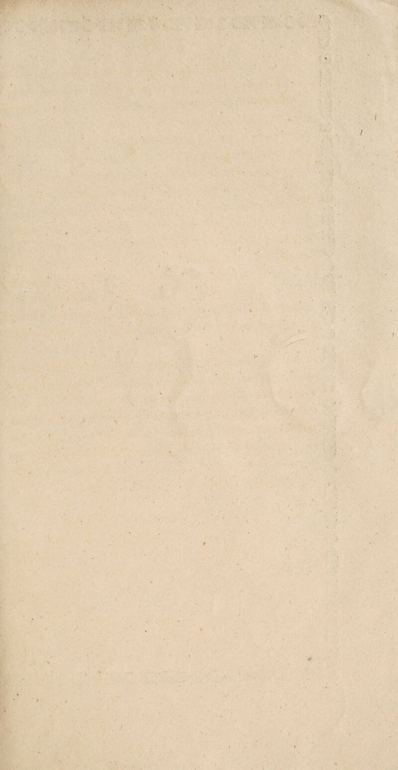 \ I * ( I / { * V / \ v 9 l \ I ft i t i