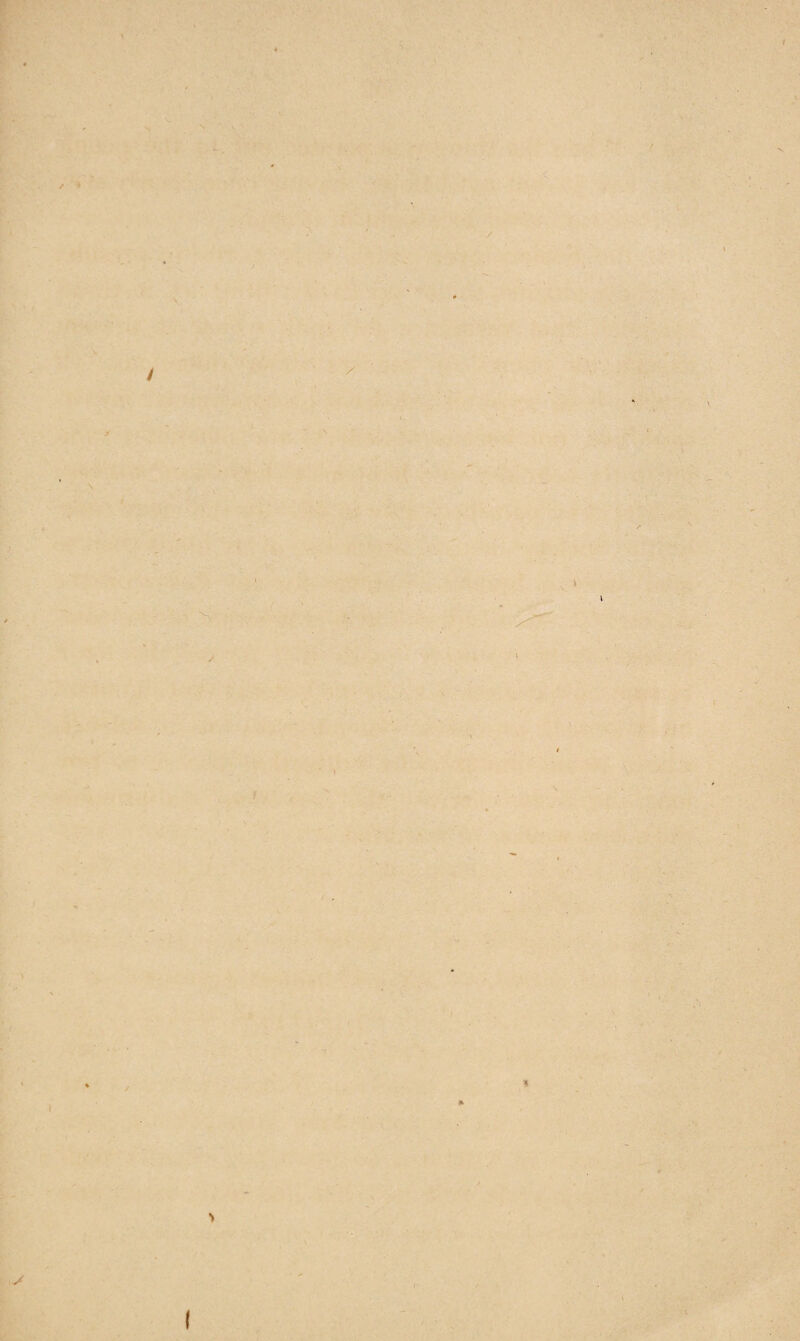 A 1 V .'v» V i \ J l 1 f A » * % I