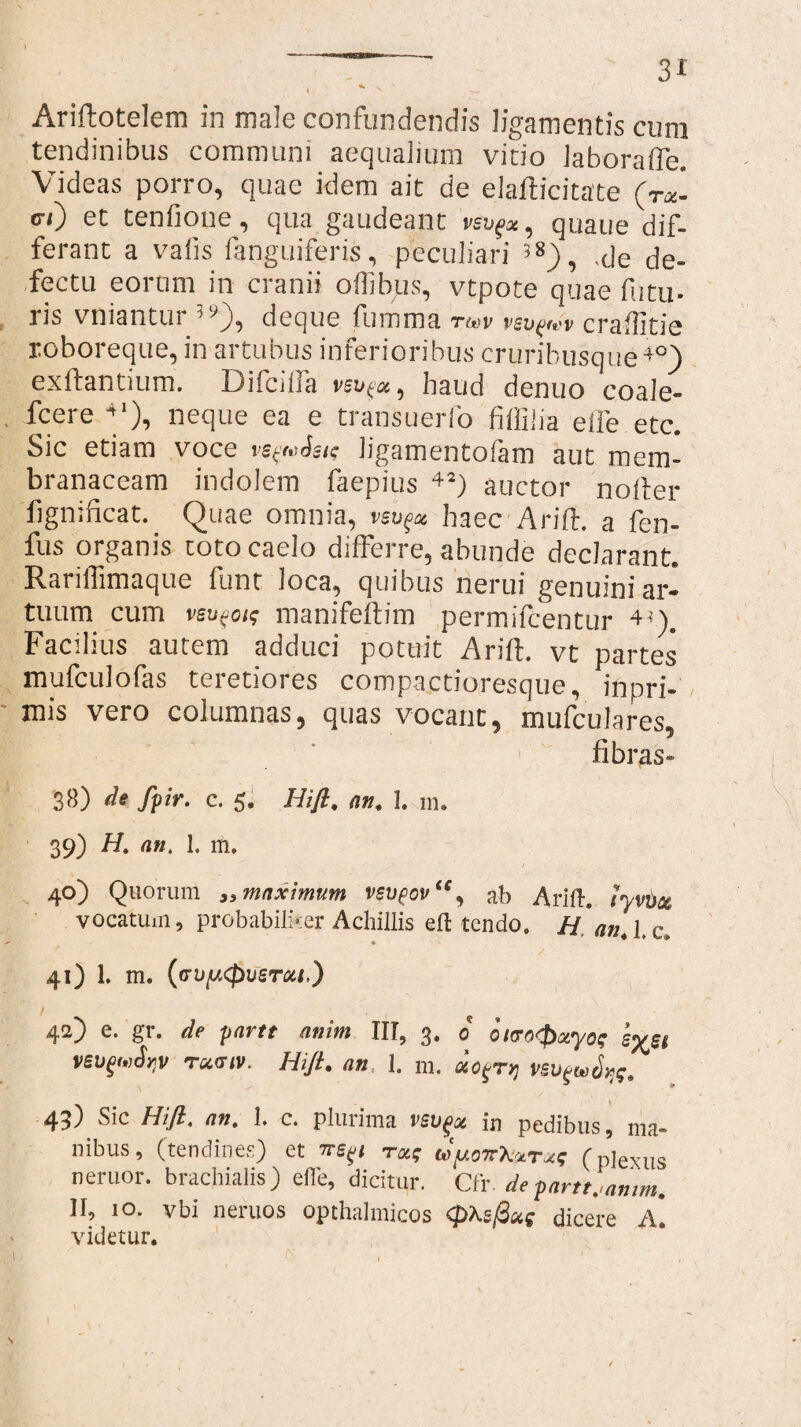 Ariftotelem in male confundendis ligamentis cum tendinibus communi aequalium vitio Jaborafle. Videas porro, quae idem ait de elafticitate (rot¬ at) et tenfione, qua gaudeant vsv^x, quaue dif¬ ferant a vafis (anguiferis, peculiari 58), ,de de¬ fectu eorum in cranii odibus, vtpote quae (litu¬ ris vniantur 39), deque fumma tm vsu^v craditie roboreque, in artubus inferioribus cruribusque40) exdantium. Difcilla vev$ot9 haud denuo coale» fcere 41), neque ea e transuerfo fidilia ede etc. Sic etiam voce vs^Ssic ligamentofam aut mem¬ branaceam indolem faepius 42) auctor noder fignidcat. Quae omnia, vsvgec haecArift. a fen- fus organis toto caelo differre, abunde declarant. Raridimaque funt loca, quibus nerui genuini ar¬ tuum cum vsu^oig manifedim permifcentur 4Q. Facilius autem adduci potuit Arid. vt partes mufculofas teretiores compactioresque, inpri- mis vero columnas, quas vocant, mufculares, fibras» 38) de fpir. c. 5, Hift, an, 1. m. 39) H, an, 1. m. 40) Quorum maximum vsvpovte^ ab Arift. tyvtiot vocatum, probabiliter Achillis eft tendo. H an, l,c, 41) 1. m. ((TUjLKpusroit,) 42) e. gr. de partt anim III, 3. 0 0e%et vsufwJqv rucriv. Hift. an, 1. m. do^ryj vsu^uSijg. 43) Sic Hift. an, 1. c. plurima vsugx in pedibus, ma¬ nibus, (tendines) et toc; (d^oTfkotrxq (plexus neruor, brachialis) effe, dicitur. Cfr. de -partt,,amm. II, 10. vbi 11 eruos opthalmicos <£>As/3ag dicere A. videtur.
