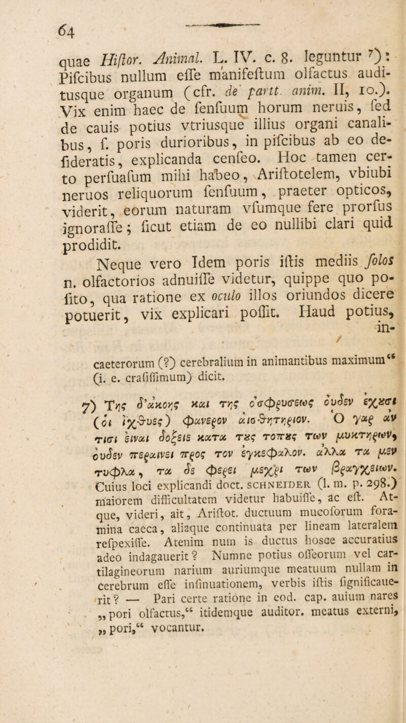 quae Hiflor. Animal L. IV. c. 8. leguntur 7): Pifcibus nullum effe manifeftum olfactus audi¬ tusque organum (cfr. de pavtt anim. II, io.). Vix enim haec de fenfuum horum neruis, fed de cauis potius vtriusque illius organi canali¬ bus, f. poris durioribus, in pifcibus ab eo de- fideratis, explicanda cenfeo. Hoc tamen cer¬ to perfuafum mihi haoeo, Aiiitotclem, vbiubi neruos reliquorum fenfuum, piaeter opticos, viderit, eorum naturam vfumque fere prorfus ignoraffe; ficut etiam de eo nullibi clari quid prodidit. Neque vero Idem poris iftis mediis folos n. olfactorios adnuiffe videtur, quippe quo po¬ lito, qua ratione ex oculo illos oriundos dicere potuerit, vix explicari poflit. Ilaud potius, in- / caeterorum (?) cerebralium in animantibus maximum “ (i. e. crafiffimum) dicit. 7) Tv\s S'xxo>js xxt ryj? ca<p$v<reM$ cvSsv 'cyjsct (01 1%-S-tis?) <puvegcv uio-S-yTtgiov. O y*$ «v ri(Tl SlVXl Sotsis VLXTX TOTUS TU)V * y 3 cvSsv 7revivet t^os rcv eyuscpxXov. aWx rx yev rvcpXoi, rx ds Qsgsi ysxp TWV fy*y%6MV. Cuius loci explicandi doct. schneider (1. m. p. 298.) maiorem difficultatem videtur babuifle, ac elt. At¬ que, videri, ait, Ariftot. ductuum mucoforum fora¬ mina caeca, aliaque continuata per lineam lateralem refpexiffe. Atenim num is ductus bosce accuratius adeo indagauerit ? Numne potius ofleorum vel car¬ tilagineorum narium auriumque meatuum nullam in cerebrum effe infinuationem, verbis illis lignificaue- rit? — Pari certe ratione in cod. cap. auium nares „pori olfactus,66 itidemque auditor, meatus externi, „pori,66 vocantur. /
