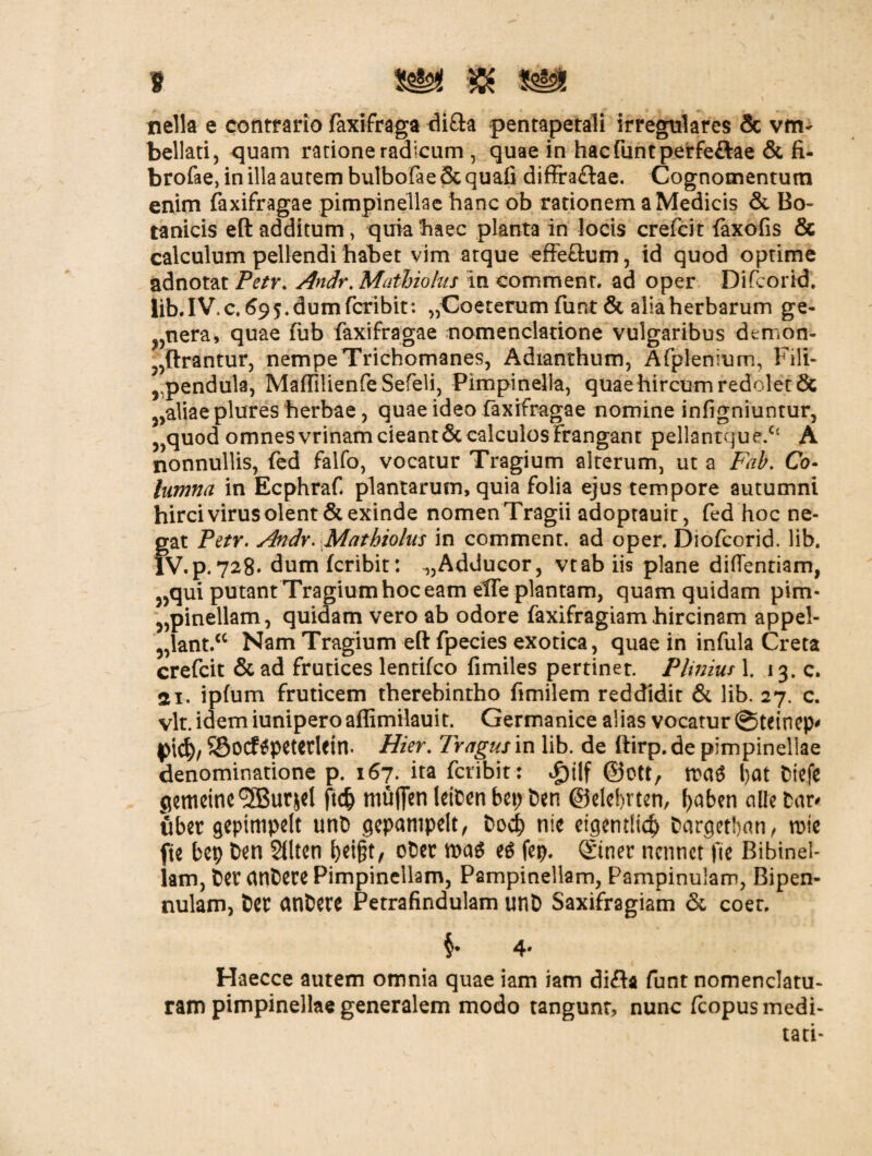 bellati, quam ratione radicum , quae in hac funt perfe&ae & fi- brofae, in illa autem bulbofae & quali diffra&ae. Cognomentum enim faxifragae pimpinellae hanc ob rationem a Medicis & Bo¬ tanicis eft additum, quia haec planta in locis crefcit faxofis & calculum pellendi habet vim atque effeftum, id quod optime adnotat Petr. Andr.Mathiohis in comment. ad oper Difcorid. lib.IVc. ^95.dumfcribit: ,,Coeterum funt & alia herbarum ge- ?,nera, quae fub faxifragae nomenclatione vulgaribus demon- ^ftrantur, nempe Trichomanes, Adianthum, Afptenium, Fili- rpendula, MaffilienfeSefeli, Pimpinella, quae hircum redolet & ,aliae plures herbae, quae ideo faxifragae nomine infigniuntur, ,,quod omnes vrinam cieant & calculos Frangant pellantque.<c A nonnullis, fed falfo, vocatur Tragium alterum, ut a Fab. Co¬ lumna in Ecphraf plantarum, quia folia ejus tempore autumni hirci virus olent & exinde nomen Tragii adoprauit, fed hoc ne¬ gat Petr. Andr. Mathiolus in comment. ad oper. Diofcorid. lib. lV.p.728* dumfcribit: „Adducor, vtabiis plane didendam, „qui putant Tragium hoc eam elfe plantam, quam quidam pim- 5,pinellam, quidam vero ab odore faxifragiam hircinam appel¬ lant/0 Nam Tragium eft fpecies exotica, quae in infula Creta crefcit & ad frutices lentifco fimiles pertinet. Plinius 1. 13. c. ai. ipfum fruticem therebintho fimilem reddidit & lib. 27. c. vlt. idem iunipero affimilauit. Germanice alias vocatur ©teinep* SSocf^peteriein. Hier. Tragus in lib. de ttirp.de pimpinellae denominatione p. 167. ita fcribit: Jpilf 0ott, mt l)at Dtefe flemcinc^urjcl ft<§ mufien leiDen bep Den ©elebrten, f>aben nttebcnv fiber gepimpelt unD gepanipelt, Dod) nie etgentltd) Dargetban, rrie fte bep Den Sfitcn oDer e6 fep. ©ner nennet fi e Bibinel- lam, 6cr cuifcere Pimpinellam, Pampinellam, Pampinulam, Bipen- nulam, Der anDere Petrafindulam unD Saxifragiam & coer. §• 4* Haecce autem omnia quae iam iam difla funt nomenclatu¬ ram pimpinellae generalem modo tangunt, nunc fcopus medi¬ tati*