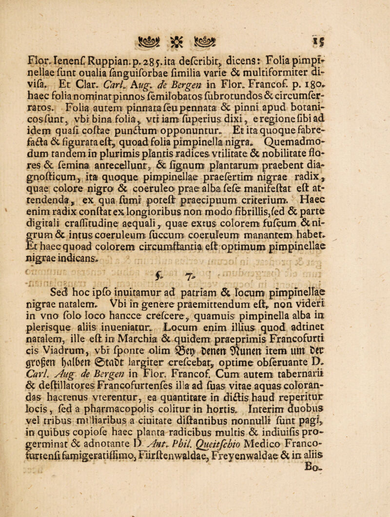& Ss§2» *S Flor»IenenfRuppian.p.28?. ita defcribit^ dicens: Folia pimpir nellaefunt oualia fanguiforbae fimilia varie & multiformiter di- vifa. Et Clar. Carl0, Augi de Bergen in Flor. Francof. p. 18°- haec folia nominat pinnos femilobatosfubrotundos&circumfer- ratos. Folia autem pinnata (eu pennata & pinnt apud botani- cosfiintj vbt bina folia* vtt iam fuperius dixi, e regione (ibi ad idem quafi coftae punctum opponuntur. Et ita quoque fabre- fafta & figurata e% quoad folia pimpinella: nigra. Quemadmo¬ dum tandem in plurimis plantis radices vtilitate & nobilitate flo¬ res <St femina antecellunt, & lignum plantarum praebent dia- gnofticum, ita quaque pimpinellae praefertim nigrae radix, quae colore nigra & coerulea prae alba fefe manifeftat eft at¬ tendenda^ ex qua fumi poreflr praecipuum crkerium. Haec enim radix conflat ex longioribus non modo fibrillis,fed & parte digitali craffitudine aequali y quae extus colorem fufcurn & ni¬ grum & intus coeruleum fuccum coeruleum manantem habet. Et haeequoad colorem circumflantia ell optimum pimpinellae nigrae indicans. f. -7, ' ' - Sed hoc Ipfo inuitamur ad patriam & locum pimpinellae nigrae natalem. Vbi in genere praemittendum eft„ non videri in vno (olo loco hancce crefcerey quamuis pimpinella alba ia plerisque aliis inueniatun. Locum enim illius quod adtinet natalem, ille eft in Marchia & quidem praeprimis Francofurti cis Viadrum, vbr fponte olim Denett 9iuncn item lUtl &CE grofm fyalbett ©tat>t largiter crefcebary optime obferuante D. Cari. Aug de Bergen in Flor. Francof. Cum autem tabernarii' & deftillatores Francofurtenfes illa ad fuas vitae aquas coloran¬ das hactenus vrerentur, ea quantitate in diftis haud reperitur locis r fed a pharmacopolis colitur in hortis. Interim duobus vel tribus mi liaribus a duitate diftantibus nonnulli firnt pagi,, in quibus copiofe haec planta radicibus multis & indiuifis pro¬ germinat & adnotante D Ant.. PbiL Queitfcbio Medico Franco- fonenfifamigeratiffimo, Fiirftenwaldae, Freyenwaldae & in aliis Bqw