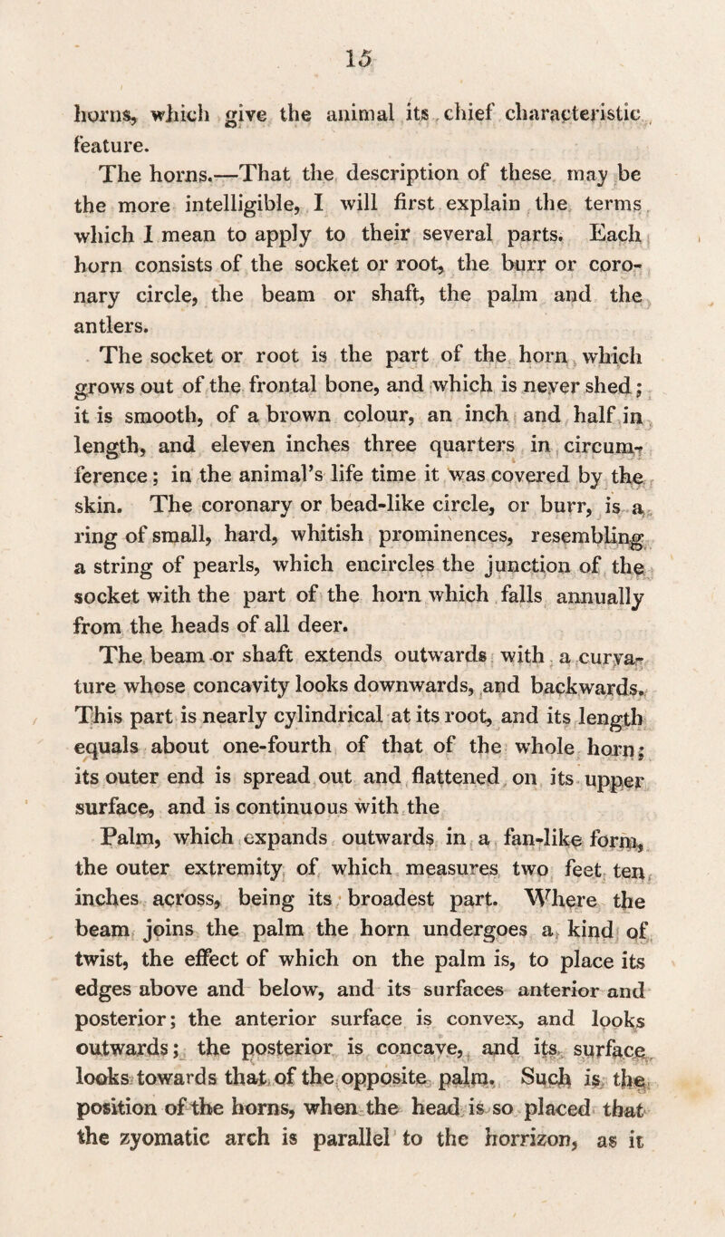 horns, which give the animal its chief characteristic feature. The horns.—That the description of these may be the more intelligible, I will first explain the terms which 1 mean to apply to their several parts. Each horn consists of the socket or root, the burr or coro¬ nary circle, the beam or shaft, the palm and the antlers. The socket or root is the part of the horn which grows out of the frontal bone, and which is never shed; it is smooth, of a brown colour, an inch and half in length, and eleven inches three quarters in circum¬ ference ; in the animal’s life time it was covered by the skin. The coronary or bead-like circle, or burr, is a ring of small, hard, whitish prominences, resembling a string of pearls, which encircles the junction of the socket with the part of the horn which falls annually from the heads of all deer. The beam or shaft extends outwards with a curva- ture whose concavity looks downwards, and backwards. This part is nearly cylindrical at its root, and its length equals about one-fourth of that of the whole horn; its outer end is spread out and flattened on its upper surface, and is continuous with the Palm, which expands outwards in a fan-like forrn, the outer extremity of which measures two feet ten inches across, being its broadest part. Where the beam joins the palm the horn undergoes a kind of twist, the effect of which on the palm is, to place its edges above and below, and its surfaces anterior and posterior; the anterior surface is convex, and looks outwards; the posterior is concave, and its surface looks towards that of the opposite palm. Such is the position of the horns, when the head is so placed that the zyomatic arch is parallel to the horrizon, as it