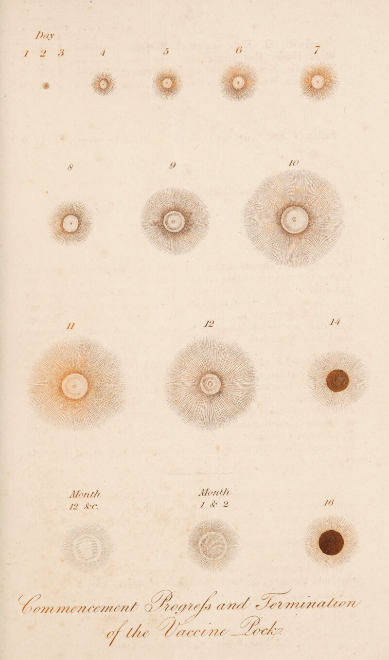 J)iO' Month 12 See. Month