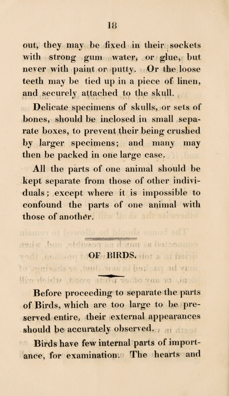 out, they may be fixed in their sockets with strong gum water, or glue, but never with paint or putty. Or the loose teeth may be tied up in a piece of linen, and securely attached to the skull. Delicate specimens of skulls, or sets of bones, should be inclosed in small sepa¬ rate boxes, to prevent their being crushed by larger specimens; and many may then be packed in one large case. All the parts of one animal should be kept separate from those of other indivi¬ duals ; except where it is impossible to confound the parts of one animal with those of another. OF BIRDS. Before proceeding to separate the parts of Birds, which are too large to be pre¬ served entire, their external appearances should be accurately observed. Birds have few internal parts of import¬ ance, for examination. The hearts and