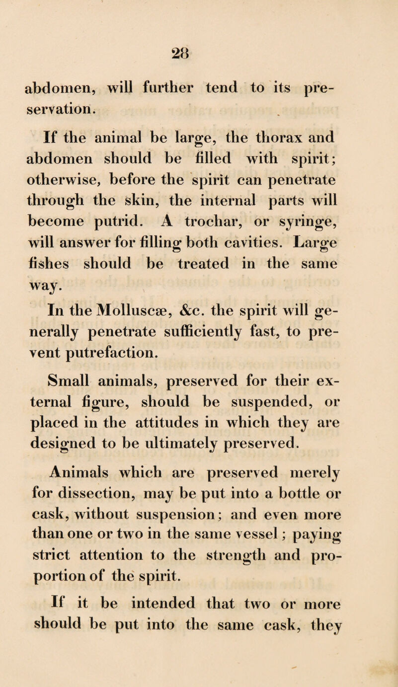 abdomen, will farther tend to its pre¬ servation. If the animal be large, the thorax and abdomen should be filled with spirit; otherwise, before the spirit can penetrate through the skin, the internal parts will become putrid. A trochar, or syringe, will answer for filling both cavities. Large fishes should be treated in the same way. In the Molluscse, &c. the spirit will ge¬ nerally penetrate sufficiently fast, to pre¬ vent putrefaction. Small animals, preserved for their ex¬ ternal figure, should be suspended, or placed in the attitudes in which they are designed to be ultimately preserved. Animals which are preserved merely for dissection, may be put into a bottle or cask, without suspension; and even more than one or two in the same vessel; paying strict attention to the strength and pro¬ portion of the spirit. If it be intended that two or more should be put into the same cask, they