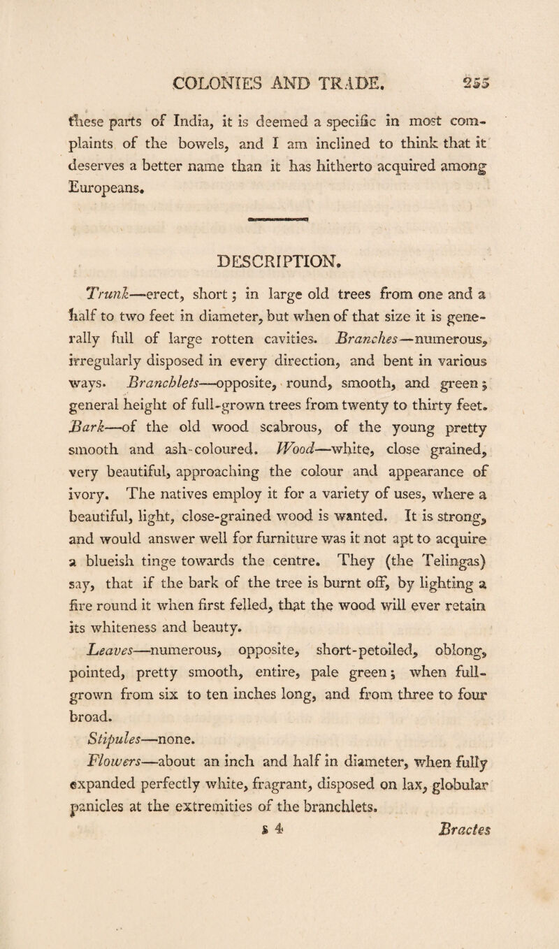 these parts of India, it is deemed a specific in most com¬ plaints of the bowels, and I am inclined to think that it deserves a better name than it has hitherto acquired among Europeans. DESCRIPTION. Trunk—erect, short; in large old trees from one and a half to two feet in diameter, but when of that size it is gene¬ rally full of large rotten cavities. Branches—numerous* irregularly disposed in every direction, and bent in various ways. Branchlets—opposite, round, smooth, and green; general height of full-grown trees from twenty to thirty feet. Bark—of the old wood scabrous, of the young pretty smooth and ash-coloured. Wood—white, close grained, very beautiful, approaching the colour and appearance of ivory. The natives employ it for a variety of uses, where a beautiful, light, close-grained wood is wanted. It is strong, and would answer well for furniture was it not apt to acquire a blueish tinge towards the centre. They (the Telingas) say, that if the bark of the tree is burnt off, by lighting a fire round it when first felled, that the wood will ever retain its whiteness and beauty. Leaves—numerous, opposite, short-pet oiled, oblong, pointed, pretty smooth, entire, pale green, when full- grown from six to ten inches long, and from three to four broad. Stipules—none. Flowers—about an inch and half in diameter, when fully expanded perfectly white, fragrant, disposed on lax, globular panicles at the extremities of the branchlets. S A Bracles