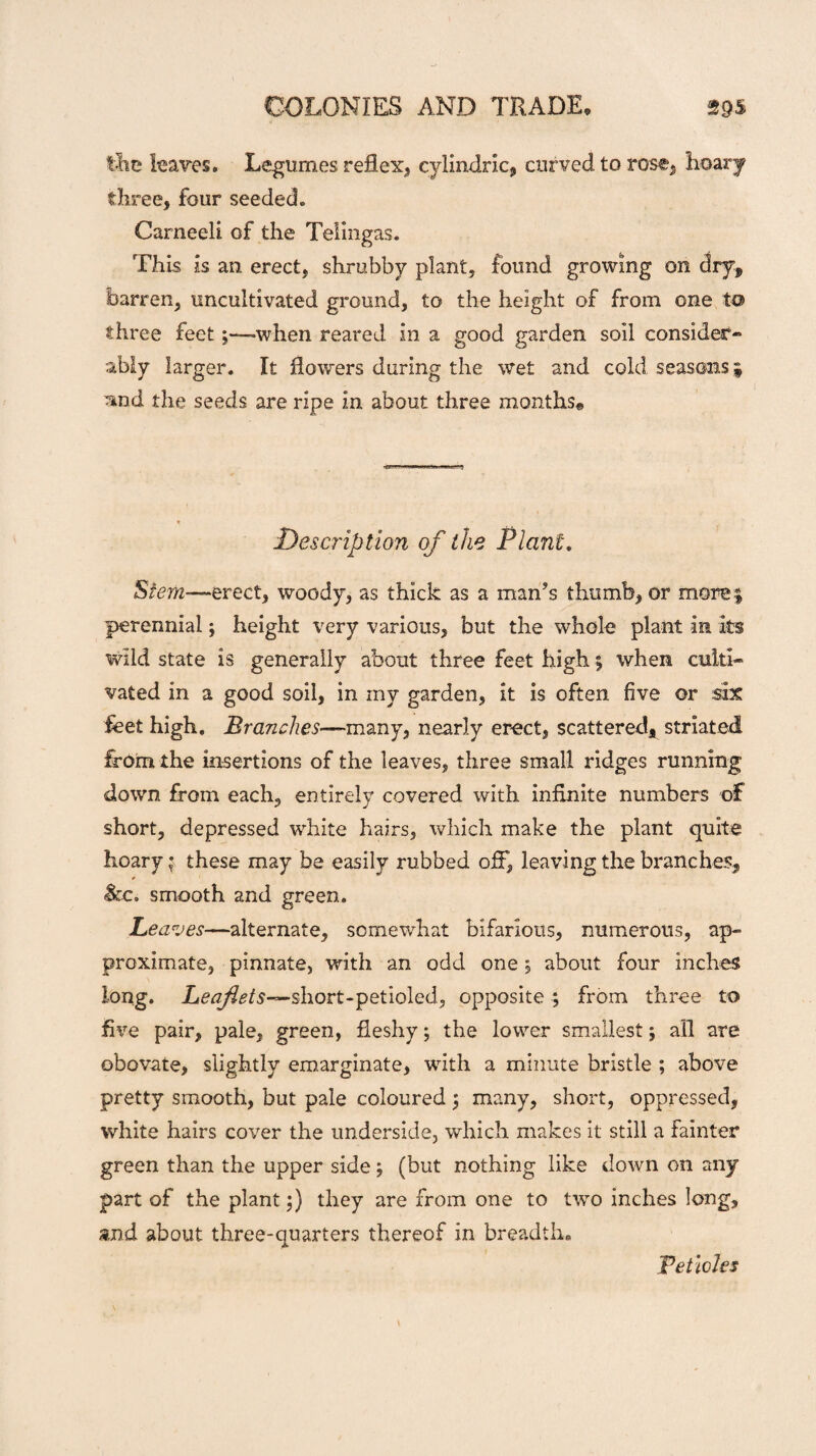 the leaves. Legumes reflex, cylindric, curved to rose, hoary three, four seeded. Carneeli of the Teimgas. This is an erect, shrubby plant, found growing on dry, barren, uncultivated ground, to the height of from one to three feetwhen reared in a good garden soil consider¬ ably larger. It flowers during the wet and cold seasons» and the seeds are ripe in about three months© Description of the Plant. Stem-—erect, woody, as thick as a man's thumb, or more3 perennial \ height very various, but the whole plant in its wild state is generally about three feet high; when culti¬ vated in a good soil, in my garden, it is often five or six feet high. Branches-—-many, nearly erect, scattered, striated from the insertions of the leaves, three small ridges running down from each, entirely covered with infinite numbers of short, depressed white hairs, which make the plant quite hoary; these may be easily rubbed off, leaving the branches, $cc. smooth and green. Leaves—alternate, somewhat bifariotts, numerous, ap¬ proximate, pinnate, with an odd one, about four inches long. Letf/^s—sliort-petioled, opposite ; from three to five pair, pale, green, fleshy; the lower smallest; all are obovate, slightly emarginate, with a minute bristle ; above pretty smooth, but pale coloured ; many, short, oppressed, white hairs cover the underside, which makes it still a fainter green than the upper side ; (but nothing like down on any part of the plant;) they are from one to two inches long, and about three-quarters thereof in breadth. Petioles