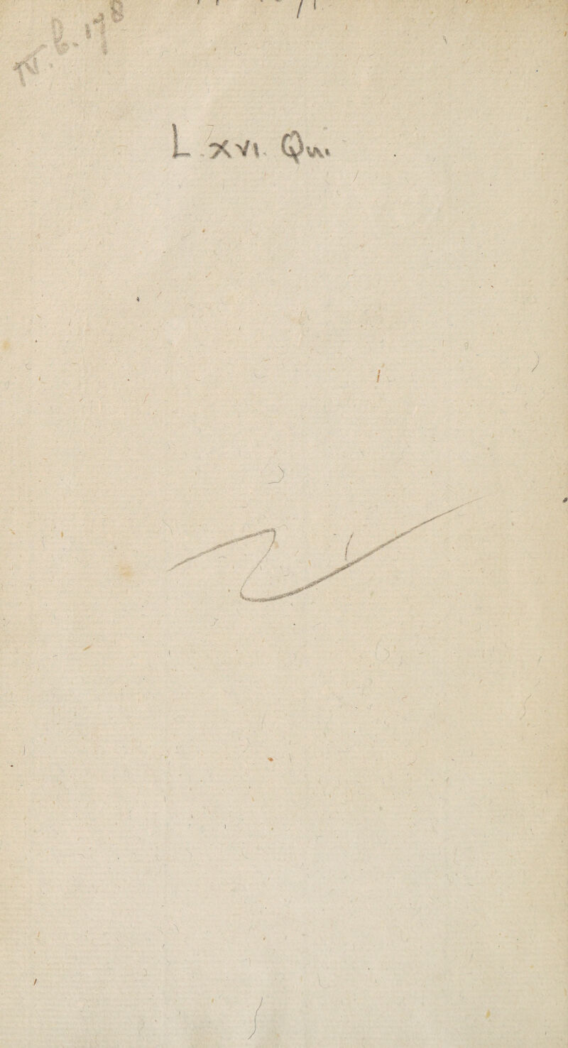 f !V » \ u \ ) * y. \ \ f t i