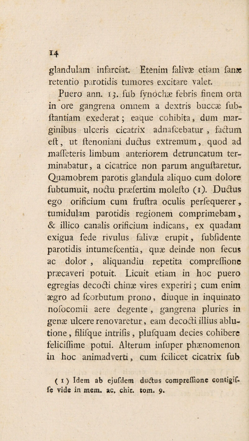 glandulam infarciat Etenim falivae etiam fansc retentio parotidis tumores excitare valet. Puero ann. i fub fynochae febris finem orta in ore gangrena omnem a dextris buccae fub- ftantiam exederat; eaque cohibita , dum mar¬ ginibus ulceris cicatrix adnafcebatur , factum eft, ut ftenoniani ductus extremum, quod ad maifeteris limbum anteriorem detruncatum ter¬ minabatur, a cicatrice non parum anguftaretur. Quamobrem parotis glandula aliquo cum dolore fubtumuit, nodu praefertim molelto (i). Ductus ego orificium cum frultra oculis perfequerer , tumidulam parotidis regionem comprimebam, & illico canalis orificium indicans, ex quadam exigua fede rivulus falivae erupit, fubfidente parotidis intumefcentia, quae deinde non fecus ac dolor , aliquandiu repetita compreffione praecaveri potuit. Licuit etiam in hoc puero egregias decocti chinse vires experiri; cum enim aegro ad fcorbutum prono, diuque in inquinato nofocomii aere degente , gangrena pluries in genae ulcere renovaretur, eam decocti illius ablu¬ tione , filifque intrifis, plufquam decies cohibere feliciflime potui. Alterum infuper phaenomenon in hoc animadverti, cum fcilicet cicatrix fub ( i ) Idem ab ejufdem dudlus compreffione contigif. fe vide in mem. ac* chir. tom. 9.