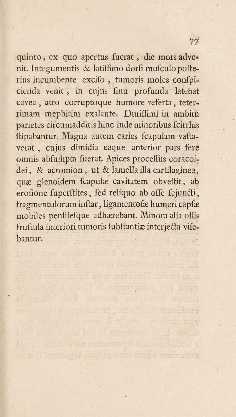 quinto 5 ex quo apertus fuerat , die mors adve¬ nit. Integumentis & latiffimo dorfi mufculo polte- rius incumbente excifo , tumoris moles confpi- cienda venit , in cujus finu profunda latebat cavea 3 atro corruptoque humore referta, teter- rimam mephitim exalante. Duriffimi in ambitu parietes circumadditis hinc inde minoribus fcirrhis ftipabantur. Magna autem caries fcapulam valla¬ verat , cujus dimidia eaque anterior pars fere omnis abfurfipta fuerat Apices proceffus coracoi¬ dei, & acromion, ut & lamella illa cartilaginea, quae glenoidem fcapulae cavitatem obvellit, ab erofione fuperftites, fed reliquo ab olfe fejunfti, fragmentulorum inftar > ligamentofae humeri capfae mobiles penfilefque adhaerebant. Minora alia offis frultula interiori tumoris fubftantiae interjeda vife- bantur*