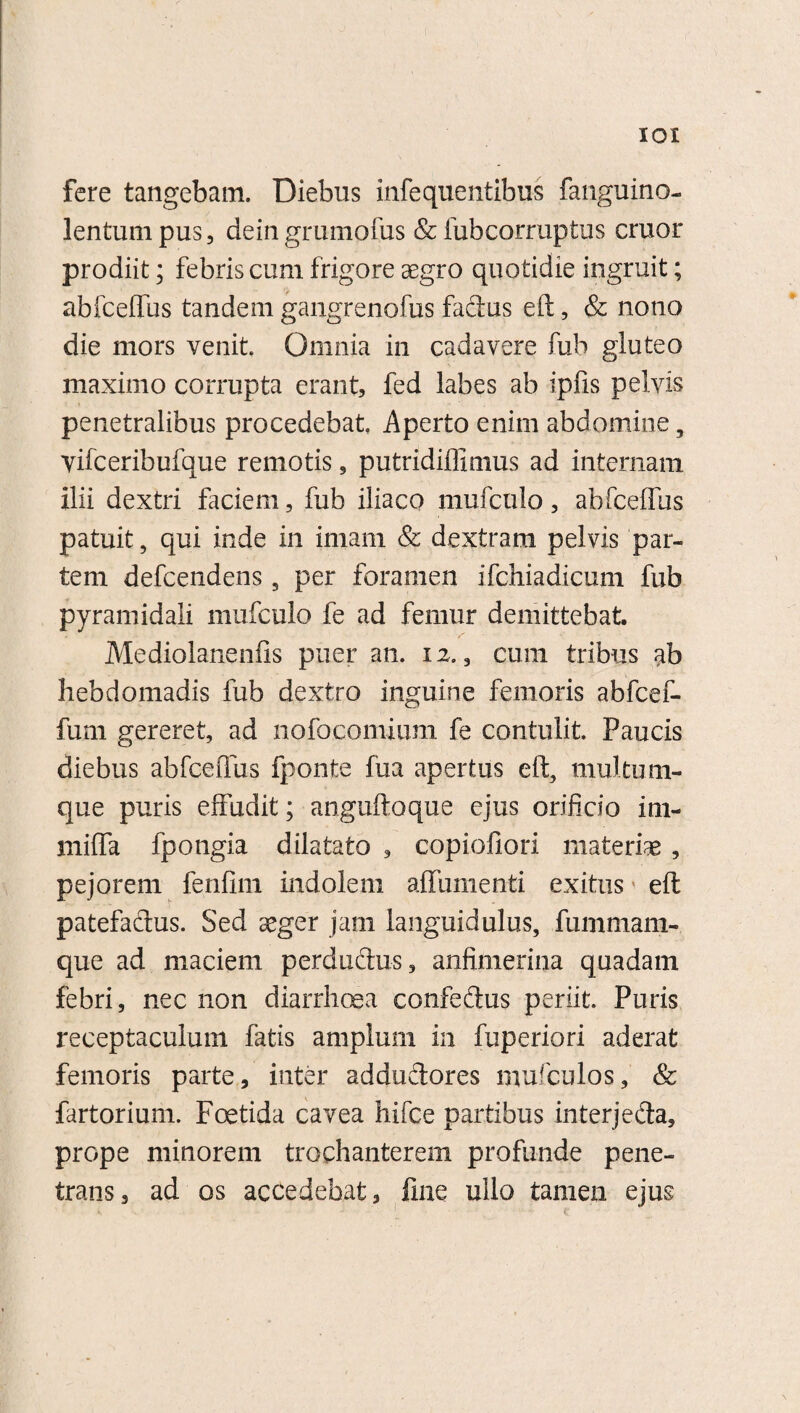 IOI fere tangebam. Diebus infequentibus fanguino- lentum pus, deingrumofus & fubcorruptus eruor prodiit; febris cum frigore aegro quotidie ingruit; abfcelfus tandem gangrenofus factus eft, & nono die mors venit. Omnia in cadavere fub gluteo maximo corrupta erant, fed labes ab ipfis pelvis penetralibus procedebat, Aperto enim abdomine, yifceribufque remotis, pufcridifllmus ad internam ilii dextri faciem, fub iliaco mufculo, abfcelfus patuit, qui inde in imam & dextram pelvis par¬ tem defeendens, per foramen ifchiadicum fub pyramidali mufculo fe ad femur demittebat. Mediolanenfis puer an. 12., cum tribus ab hebdomadis fub dextro inguine femoris abfcef- fum gereret, ad nofocomium fe contulit. Paucis diebus abfcelfus fponte fua apertus eft, multum¬ que puris effudit; anguftoque ejus orificio itn- milfa fpongia dilatato , copiofiori materiae , pejorem fenlim indolem affumenti exitus eft patefadus. Sed aeger jam languidulus, fummam- que ad maciem perdudus, anfimerina quadam febri, nec non diarrhoea confedus periit. Puris receptaculum fatis amplum in fuperiori aderat femoris parte, inter addudores mufculos, & fartorium. Foetida cavea hifce partibus interjeda, prope minorem trochanterem profunde pene¬ trans, ad os accedebat, fine ullo tamen ejus