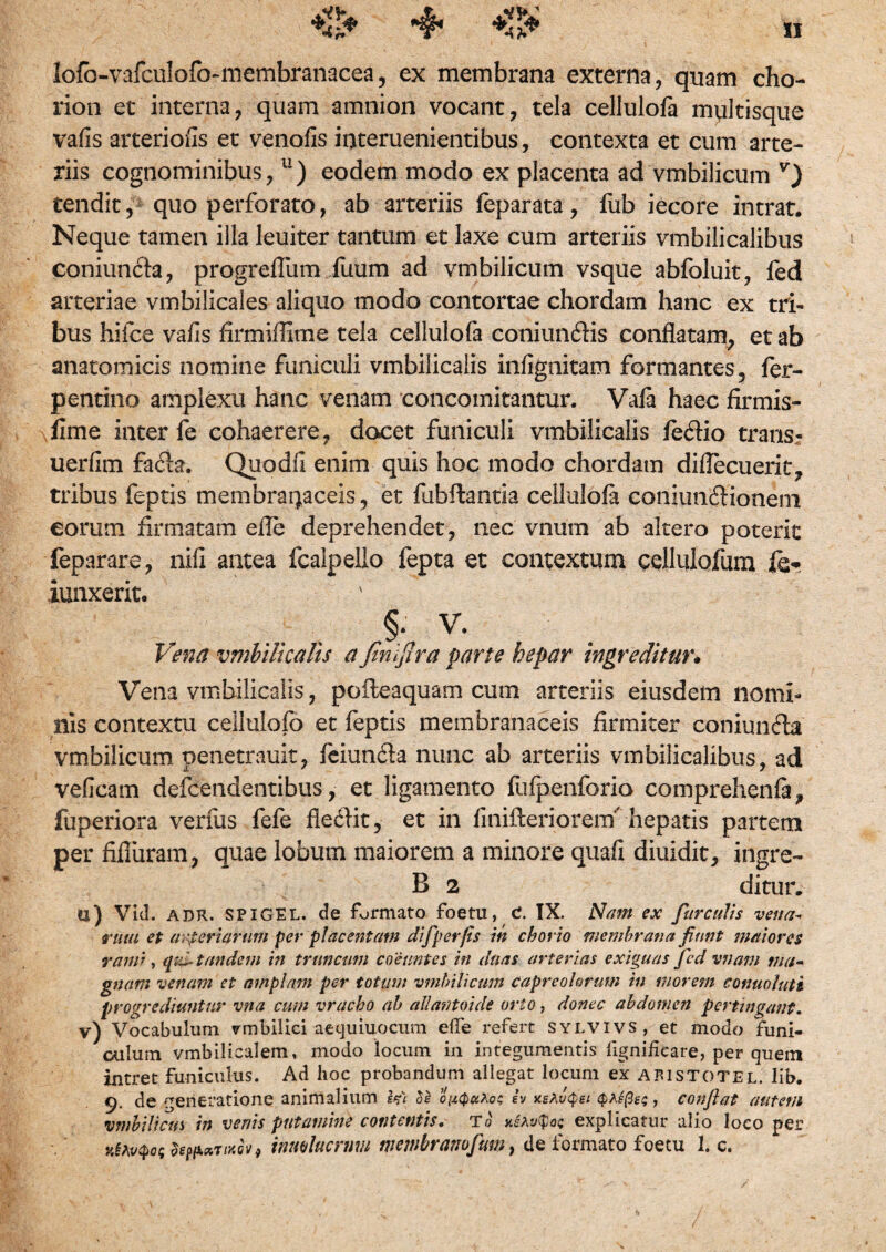 *£* 4* lofo-vafculofo-membranacea, ex membrana externa, quam cho- rion et interna, quam amnion vocant, tela cellulofa multisque vafis arteriolis et venofis interuenientibus, contexta et cum arte¬ riis cognominibus,11) eodem modo ex placenta ad vmbilicum v) tendit, quo perforato, ab arteriis feparata, fub iecore intrat. Neque tamen illa leuiter tantum et laxe cum arteriis vmbilicalibus coniuncfa, progreflum ilium ad vmbilicum vsque abfoluit, fed arteriae vmbilicales aliquo modo contortae chordam hanc ex tri¬ bus hifce vafis firmiffime tela cellulofa coniundHs conflatam, et ab anatomicis nomine funiculi vmbilicalis infignitam formantes, fer- pentino amplexu hanc venam concomitantur. Vala haec firmis- fime inter fe cohaerere, docet funiculi vmbilicalis fe6lio trans: uerfim fa£h. Quodfi enim quis hoc modo chordam diflecuerit, tribus feptis membraqaceis, et fiibflantia cellulofa coniundlionem eorum firmatam efle deprehendet, nec vnum ab altero poterit feparare, nifi antea fcalpello fepta et contextum cellulofum fo. junxerit. §• V. Vena vmbilicalis a Jinijira parte hepar ingreditur. Vena vmbilicalis, po fle a quam cum arteriis eiusdem nomi» nis contextu cellulofo et feptis membranaceis firmiter coniunfta vmbilicum penetrauit, feiun&a nunc ab arteriis vmbilicalibus, ad veficam defcendentibus, et ligamento fufpenforio comprehenfa, fuperiora verfus fefe fledlit, et in finifteriorem' hepatis partem per fifluram, quae lobum maiorem a minore quafi diuidit, ingre- B 2 ditur. u) Vid. ADR. SPIGEL. de formato foetu, C. IX. Nam ex furculis venav rutu et arteriarum per placentam difperps in chorio membrana fiunt maiores rami, qui-tandem in truncum coeuntes in duas arterias exiguas fed vnam ma¬ gnam venam et amplam per totum vmbilicum capreolorum in morem conuoluti progrediuntur vna cum vracho ab allantoide orto, donec abdomen pertingant. v) Vocabulum umbilici aequiuocum efle refert sylvivs, et modo funi¬ culum vmbilicalem, modo locum in integumentis fignifieare, per quem intret funiculus. Ad hoc probandum allegat locum ex abistotel. lib. 9. de generatione animalium Wi Se qu§chKqc, ev xsAuQei cp/.efi£<;, confiat autem vmbilicm in venis putamine contentis. T0 explicatur alio loco per nttocpof inmkcrnm mcmbranofum, de formato foetu 1. c.