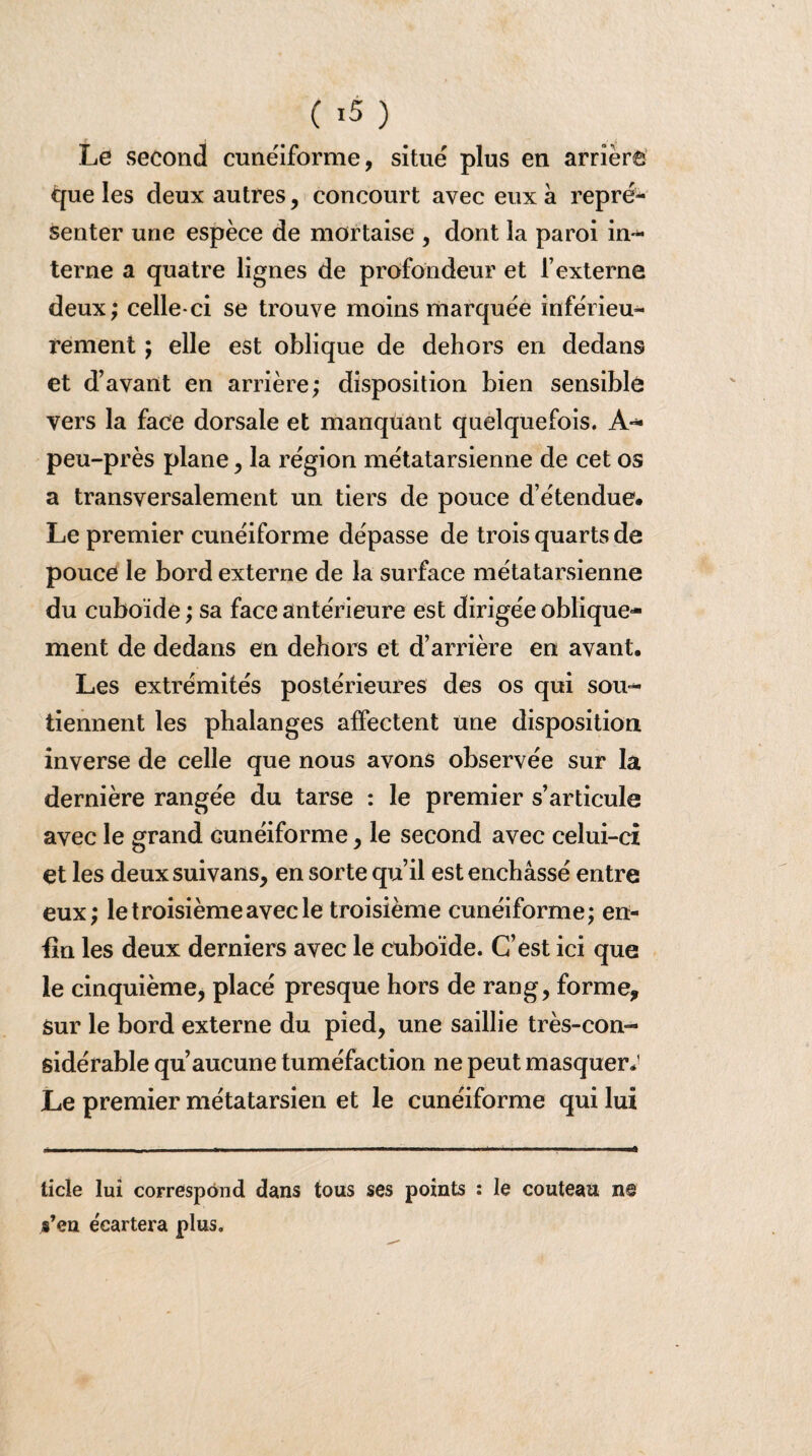 Le second cunéiforme, situé plus en arrière que les deux autres, concourt avec eux à repré¬ senter une espèce de mortaise , dont ia paroi in¬ terne a quatre lignes de profondeur et l’externe deux; celle-ci se trouve moins marquée inférieu¬ rement ; elle est oblique de dehors en dedans et d’avant en arrière; disposition bien sensible vers la face dorsale et manquant quelquefois. A-* peu-près plane, la région métatarsienne de cet os a transversalement un tiers de pouce d étendue. Le premier cunéiforme dépasse de trois quarts de pouce le bord externe de la surface métatarsienne du cuboïde ; sa face antérieure est dirigée oblique¬ ment de dedans en dehors et d’arrière en avant. Les extrémités postérieures des os qui sou¬ tiennent les phalanges affectent une disposition inverse de celle que nous avons observée sur la dernière rangée du tarse : le premier s’articule avec le grand cunéiforme, le second avec celui-ci et les deuxsuivans, en sorte qu’il est enchâssé entre eux; le troisième avec le troisième cunéiforme; en¬ fin les deux derniers avec le cuboïde. C’est ici que le cinquième, placé presque hors de rang, forme, sur le bord externe du pied, une saillie très-con¬ sidérable qu’aucune tuméfaction ne peut masquer.1 Le premier métatarsien et le cunéiforme qui lui ticle lui correspond dans tous ses points : le couteau n© s’eu écartera plus.