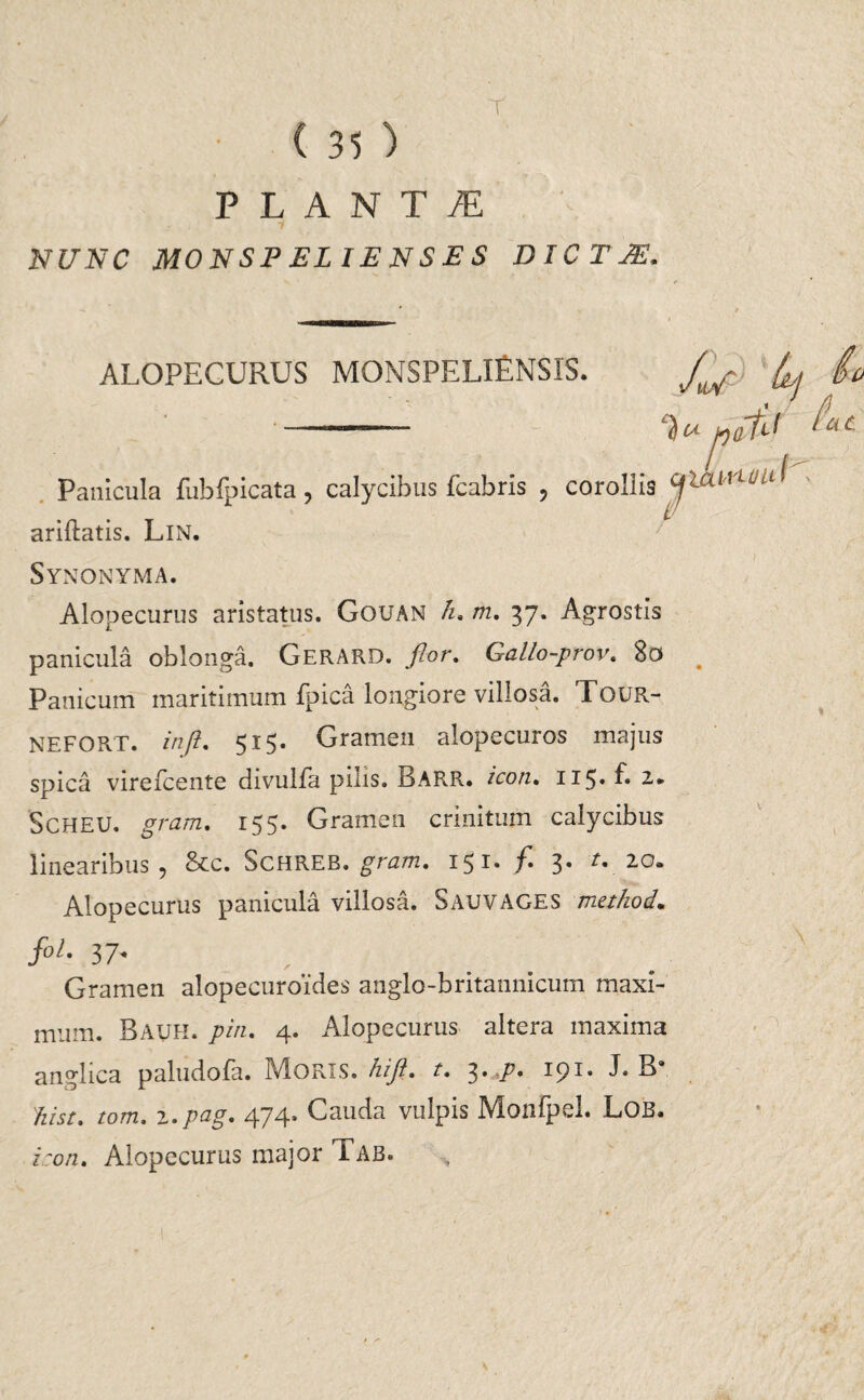 Y ( ) PLANTA NUNC MONSPELIENSES DIC T PE. ALOPECURUS MONSPELlENSIS. Yv' ^ Panicula fubfpicata, calycibus fcabris , corollis cjiamvi1 ariftatis. Lin. Synonyma. Alopecurus aristatus. Gouan h, m, 37. Agrostis panicula oblonga. GerARD. flor, Gallo-prov. 8o Panicum maritimum fpica longiore villosa. Tour- NEFORT. in fi, 5I5* Gramen alopecuros majus spica vire fcente divulfa pilis. Barr. icon. 115« f» Scheu, gram, 155. Gramen crinitum calycibus linearibus, &c. Schreb. gram, 151. f, 3. /. 20. Alopecurus panicula villosa. SAUVAGES mcthod. jf°t' 37* Gramen alopecuroides anglo-britannicum maxi¬ mum. BatJH. pin, 4. Alopecurus altera maxima anglica paludofa. Moris, hift. t, 3. .p, 191. J. B' hist, tom. z.pag, 474* Cauda vulpis Monfpel. Lob. icon, Alopecurus ma]or Tab.