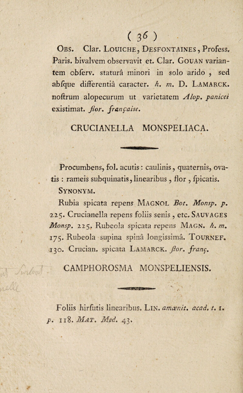 Obs. Clar. Louiche, Desfontaines , Profess. Paris, bivalvem observavit et. Clar. Gouan varian- r . 1 f tem obferv. statura minori in solo arido , sed abfqtie differentia caracter. h. m. D. Lamarck. noftrum alopecurum ut varietatem Alop. panicei existimat, flor. franfaise. •. - ■ ' . . CRUCIANELLA MONSPELIACA. Procumbens, fol. acutis: caulinis, quaternis, ova¬ tis : rameis subquinatis,linearibus, flor , /picatis. Synonym. Rubia spicata repens Magnol Bot. Monsp. p. 225. Crucianella repens foliis senis , etc. Sauvages Monsp. 225. Rubeola spicata repens Magn. h. m. 175. Rubeola supina spina longissima. Tournef. 130. Crucian. spicata Lamarck. ftor. franc. CAMPHOROSMA MONSPELIENSIS. 1 - v * r . • Foliis hirditis linearibus» LlN. amcenit. acad, t. i, /?. 118. Mat* Mtd. 43. /