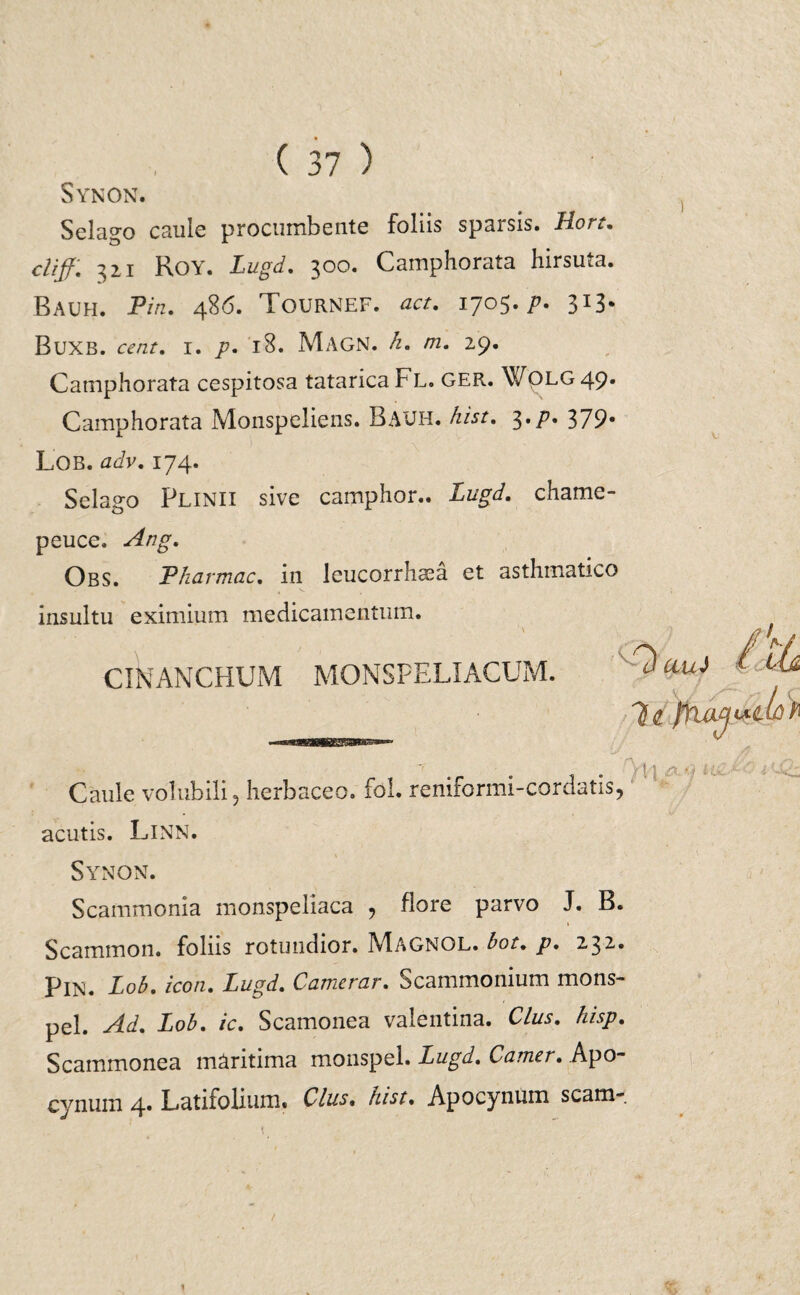 Synon. Selago caule procumbente foliis sparsis. Hort. cliff. 321 Roy. Lugd. 300. Camphorata hirsuta. Bauh. Pin. 486. Tournef. 1705./u 313« BUXB. ccnt. I. /?. 18. MAGN. h. /72. 29. Camphorata cespitosa tatarica Fl. GER. Wqlg 49. Camphorata Monspeliens. Bauh. hist. 3*P* Z79* Lob. adv. 174. Selago Plinii sive camphor.. Lugd. chame- peuce, Ang. Obs. Pharmac. in leucorrhaea et asthmatico insultu eximium medicamentum. CINANCHUM MON5PELXACUM. acutis. Linn. Synon. Scammonia monspeliaca , flore parvo J. B. 1 Scammon. foliis rotundior. Magnol. bot. p. 232-» PlN. Lob. icon. Lugd. Camerar. Scammonium mons- pel. Ad. Lob. ic. Scamonea valentina. Cius. hisp. Scammonea mAritima monspel. Lugd. Camer. Apo- cynuin 4. Latifolium» Cius, hist. Apocynum scam- 1