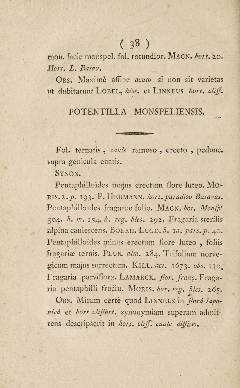 mofi. facie monspel. fol. rotundior. Magn. hort. 20. Hort. L. Batav. Obs. Maxime alline acuto si non sit varietas nt dubitarunt Lobel, hist. et LlNNEUS hort. cliff. / POTENTILLA MONSPELIENSXS. f-23ai Fol. ternatis , caule ramoso ? erecto , pedunc. supra genicula enatis. Synon. Pentaphilloides majus erectum flore luteo. Mo- RIS.2./U 193. P. HERMANN. hort. paradiso Batavus. Pentaphilloides fragarias folio. Magn. hot. Monfp* 304. h. 772. 154. h. reg. bles. 292. Fragaria sterilis alpina caulescens. Boerh. Lugd. 3. 10. pars.p. 40. Pentaphilloides minus erectum flore luteo 9 foliis fragariae ternis. Pluk. alm. 284. Trifolium norve- gicum majus surrectum. KlLL. act. 1673. obs. 130. Fragaria parvifiora. Lamarck. flor, franc. Fraga¬ ria pentaphilli fructu. Moris, hor. reg. bles. 265. p Obs. Mirum certe quod Linneus in flora lapo- nicd et hort differt, synonymiam superam admit¬ tens descripserit in hort* cliff. caule diffuso,